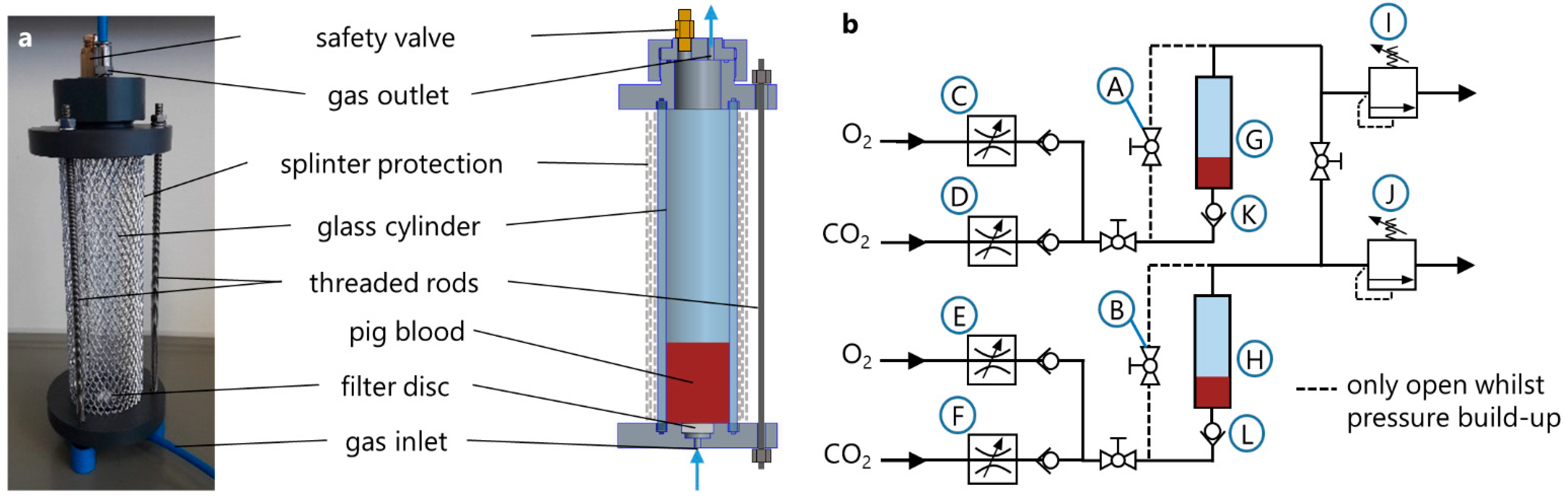 Membranes 12 00056 g003 Membranes 12 00056 g003