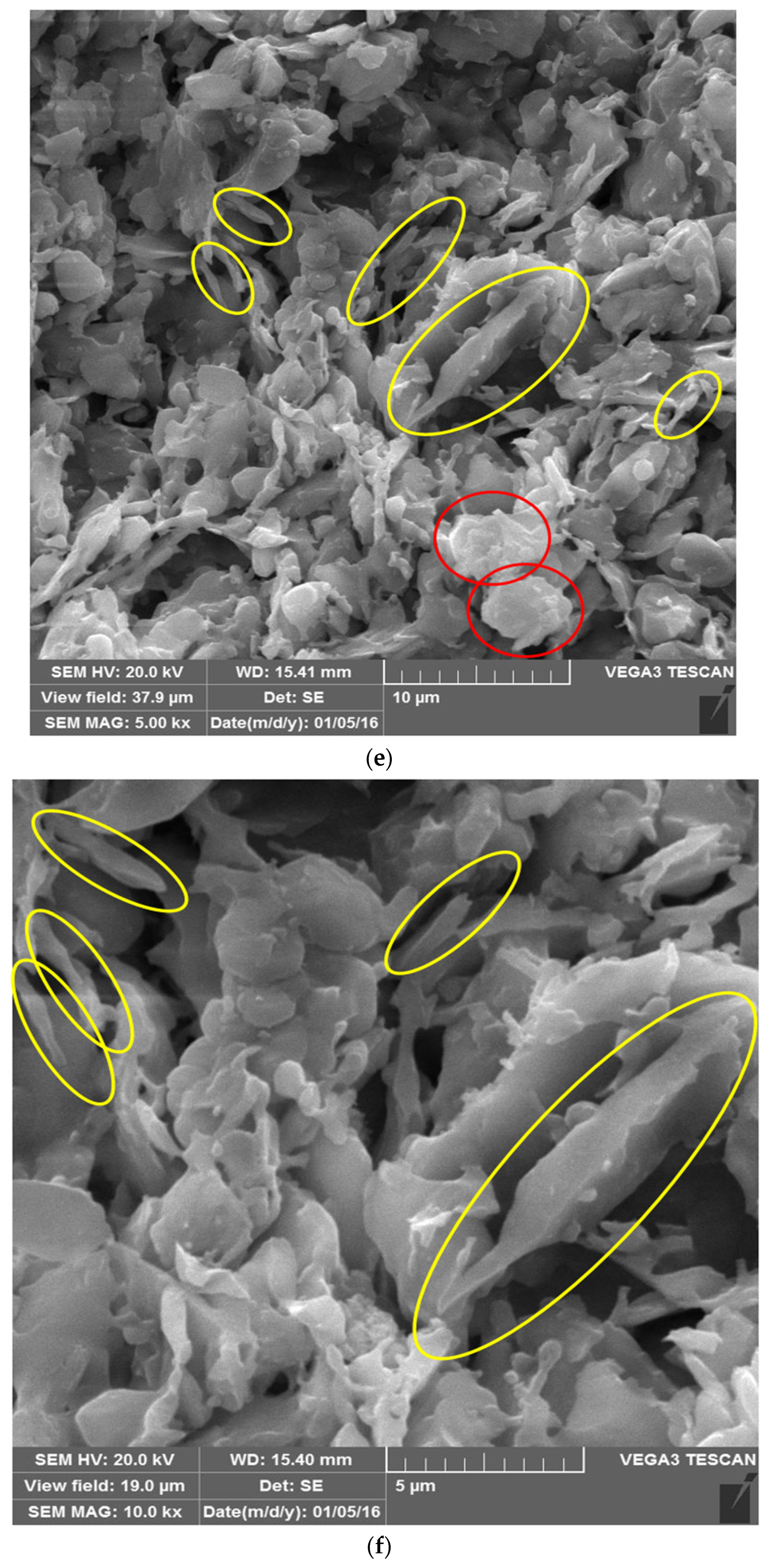 Membranes 12 00059 g006c