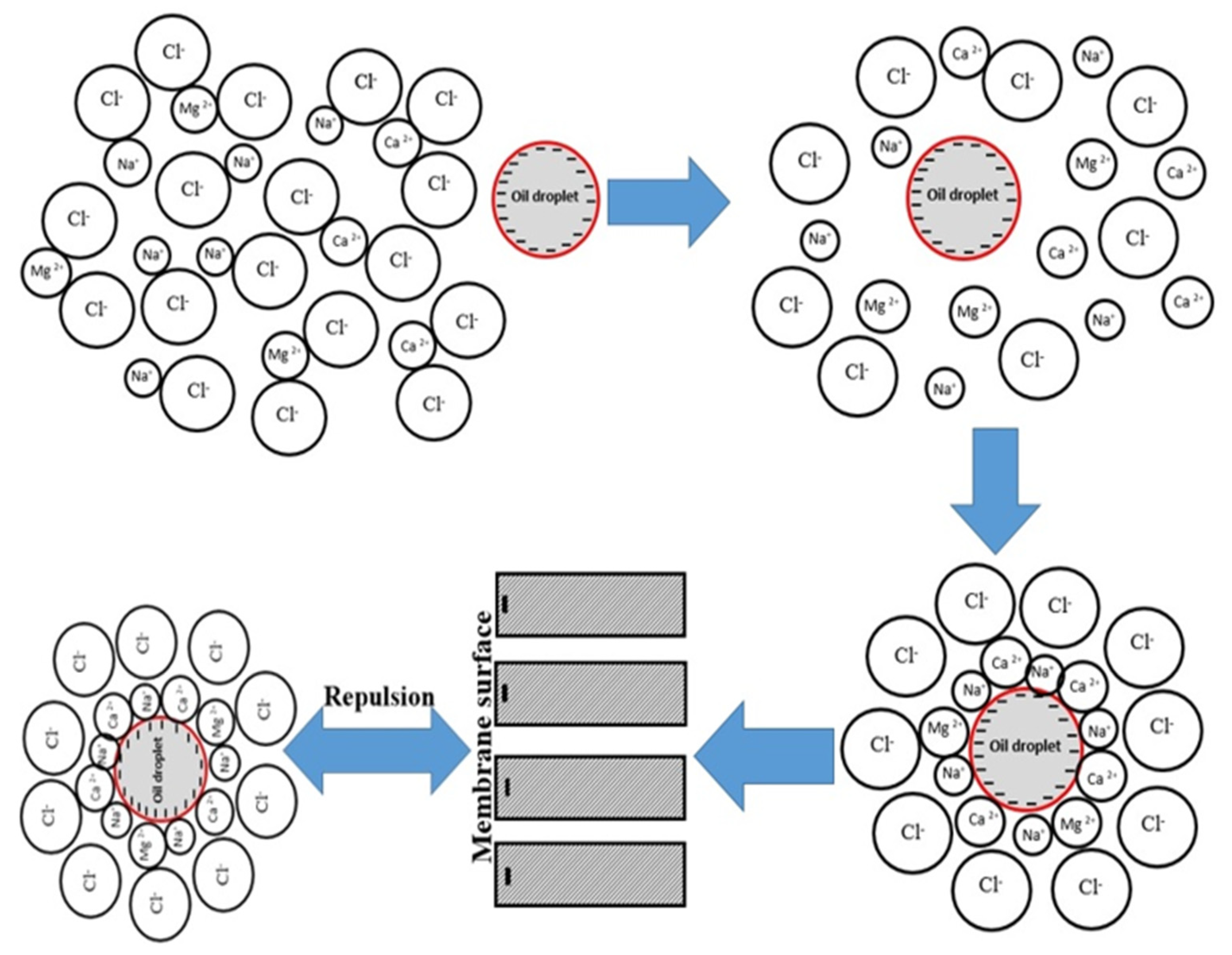 Membranes 12 00059 g010