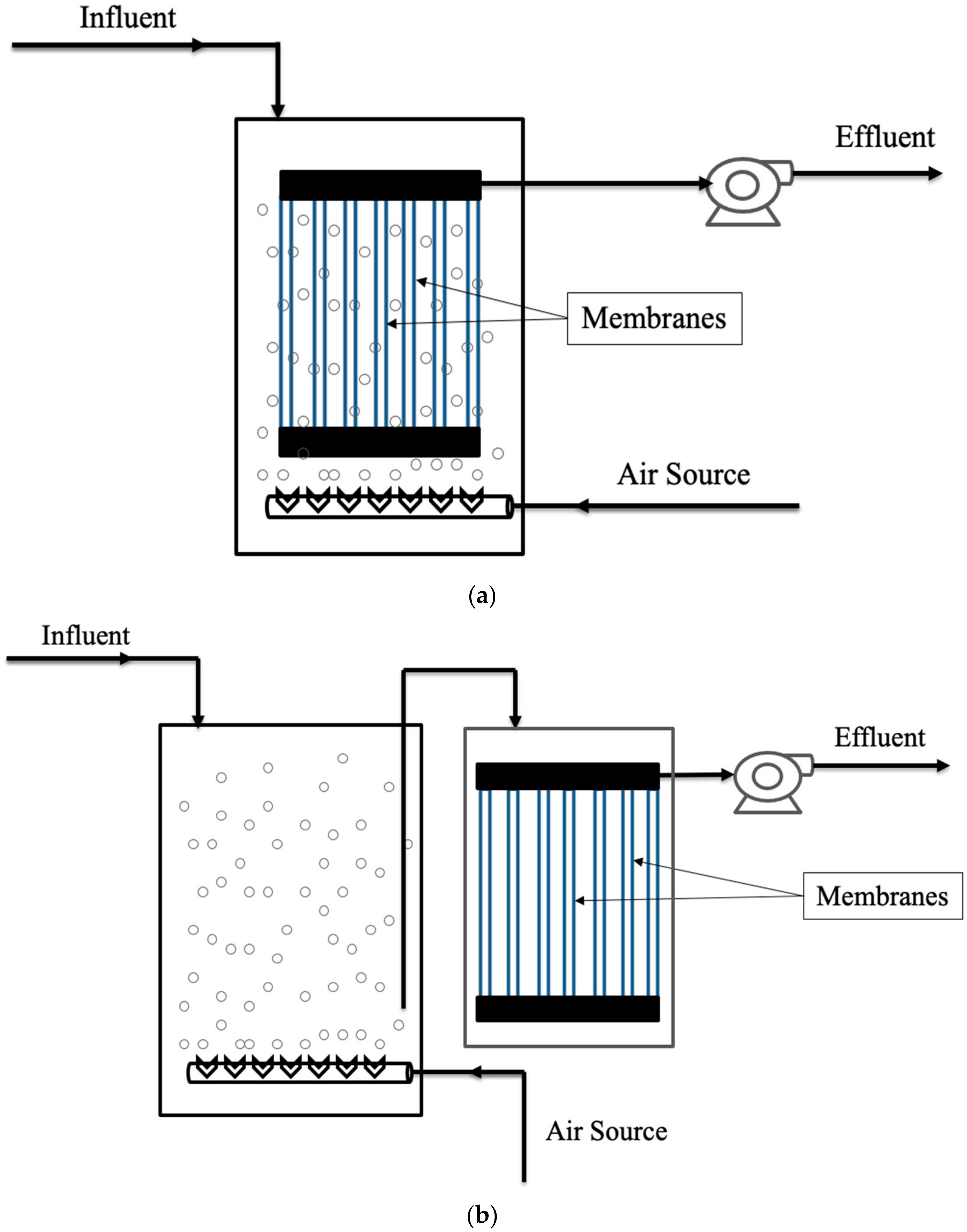 Membranes 12 00060 g003