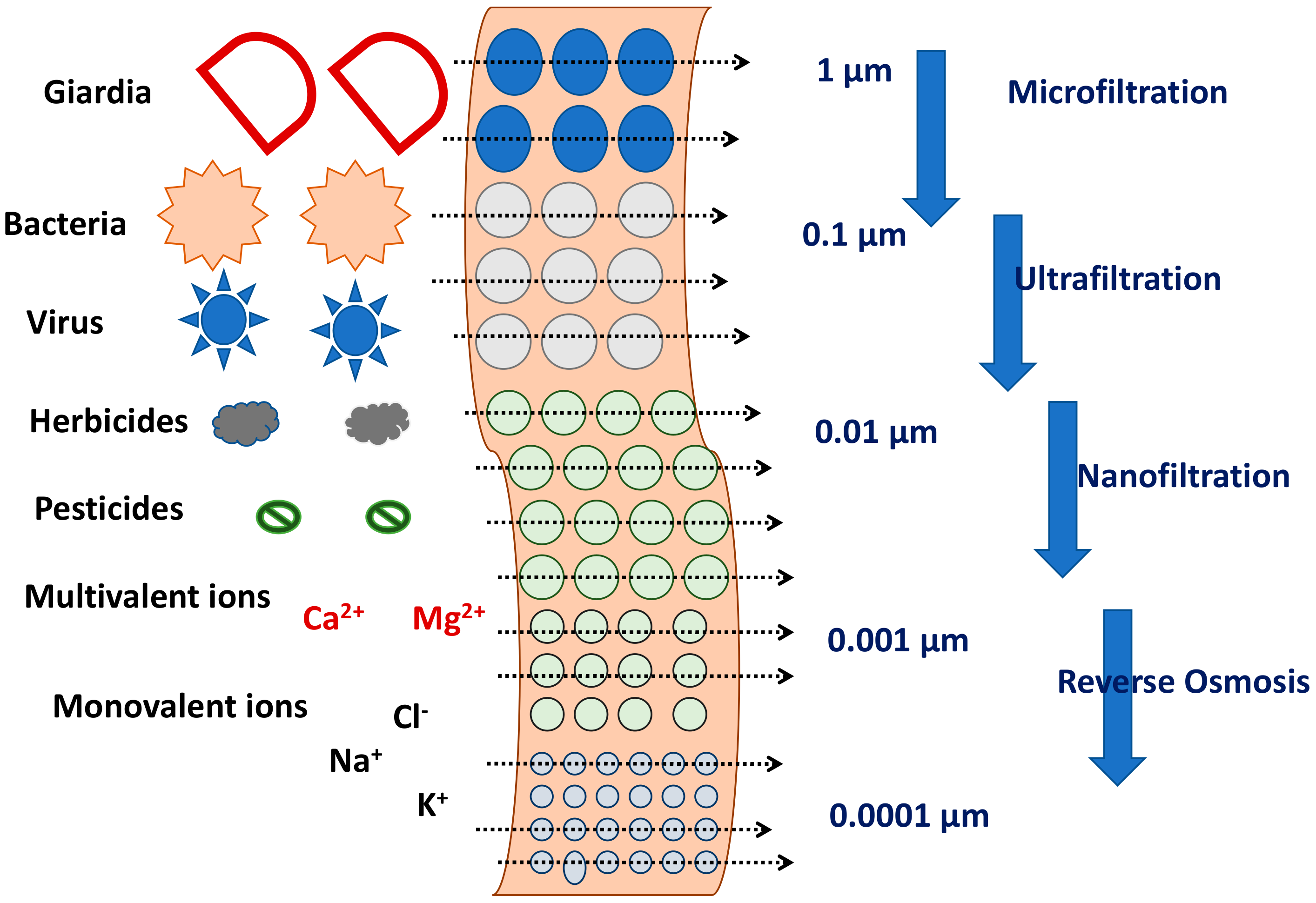 Membranes 12 00060 g007