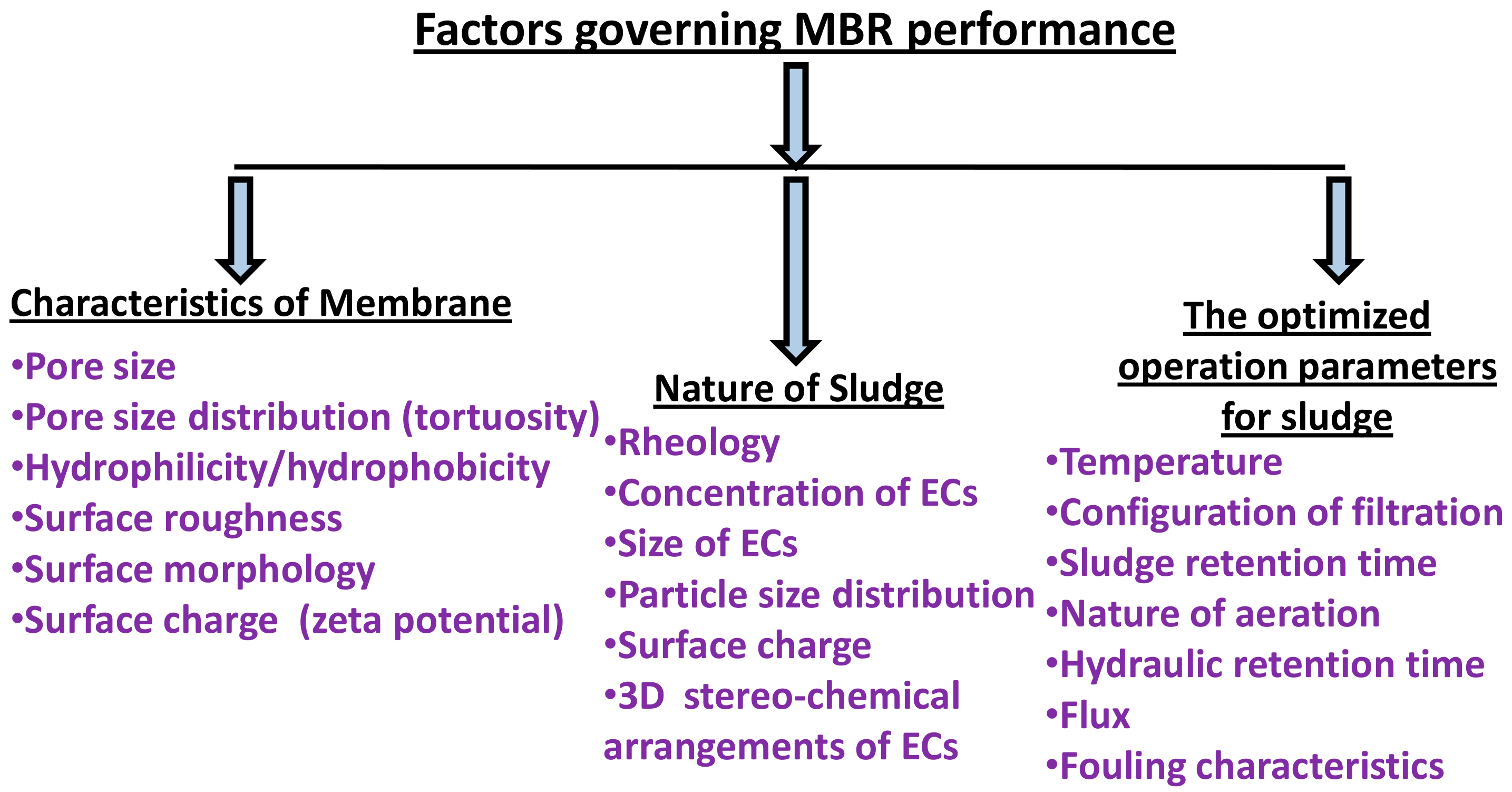 Membranes 12 00060 g008