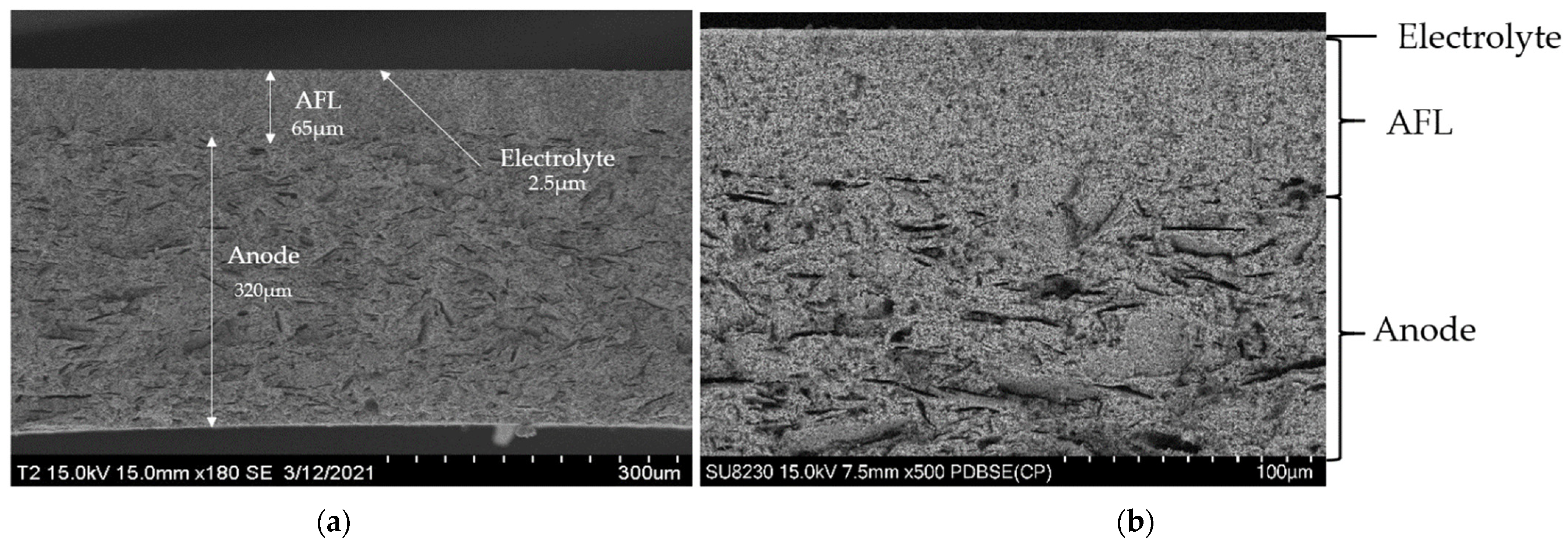 Membranes 12 00068 g003