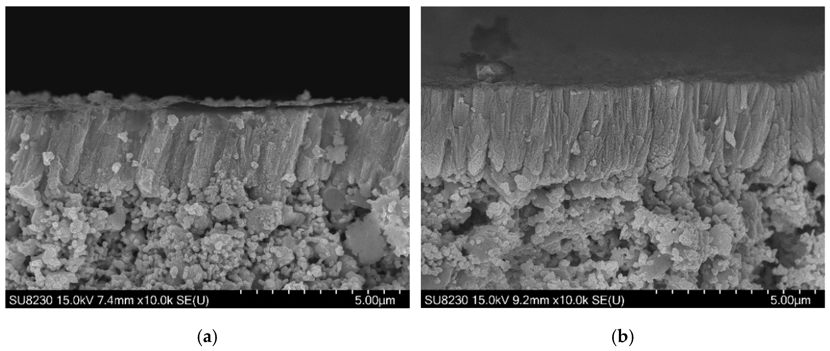 Membranes 12 00068 g004