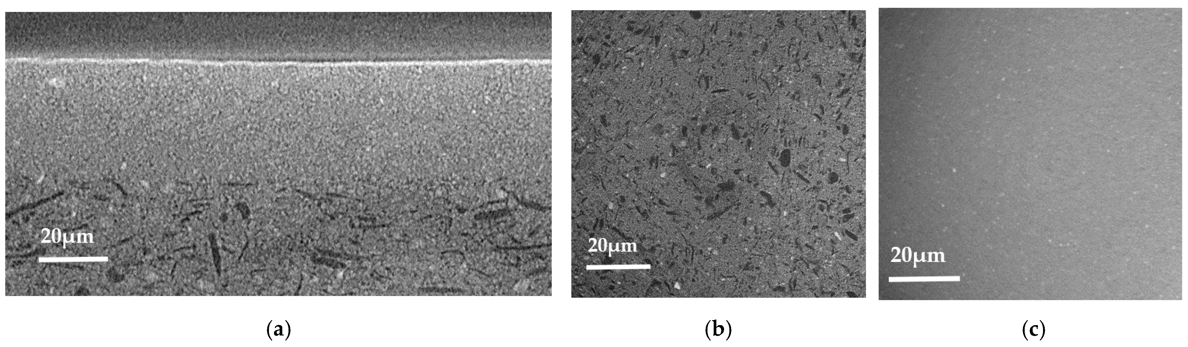 Membranes 12 00068 g006