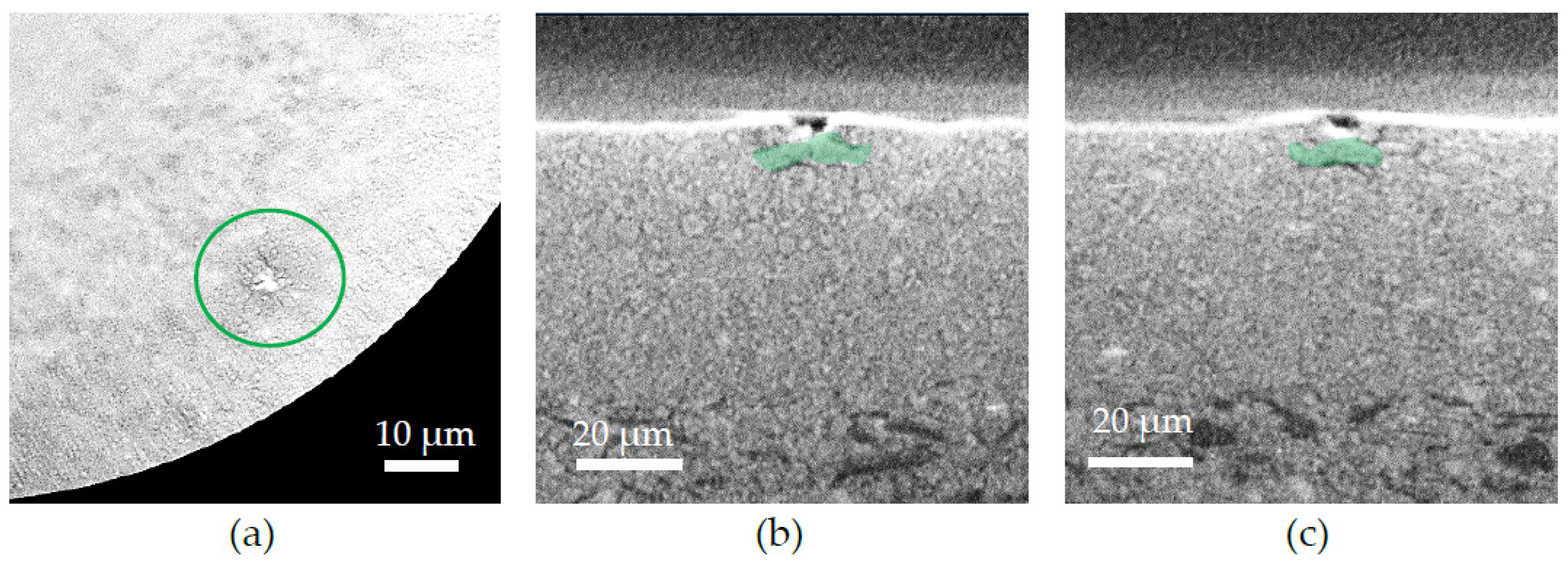 Membranes 12 00068 g007
