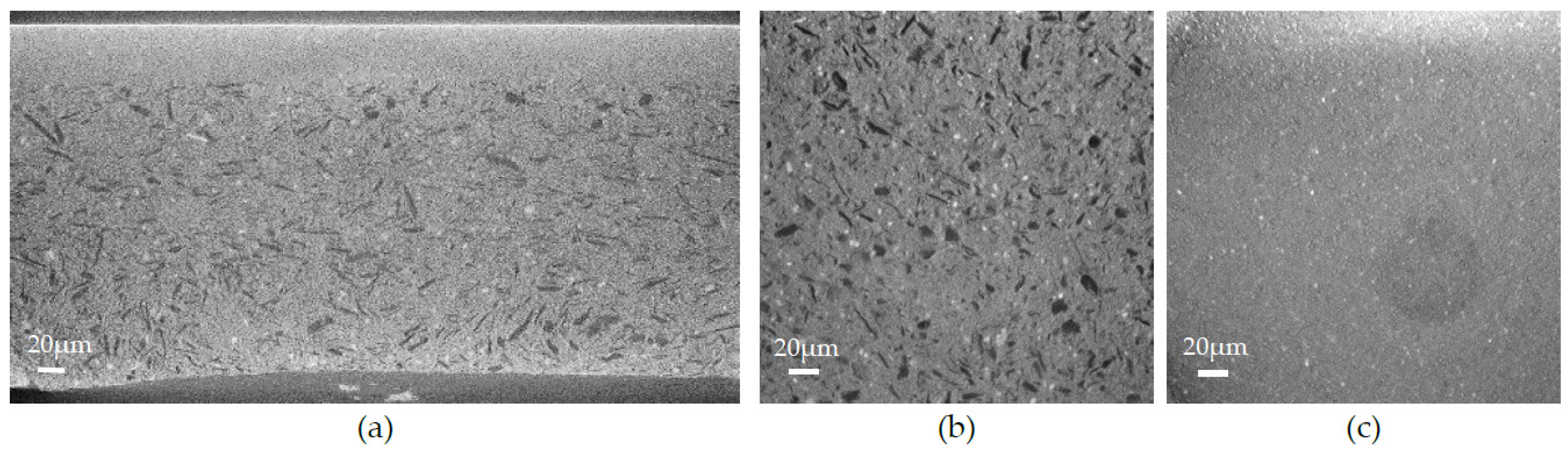 Membranes 12 00068 g008