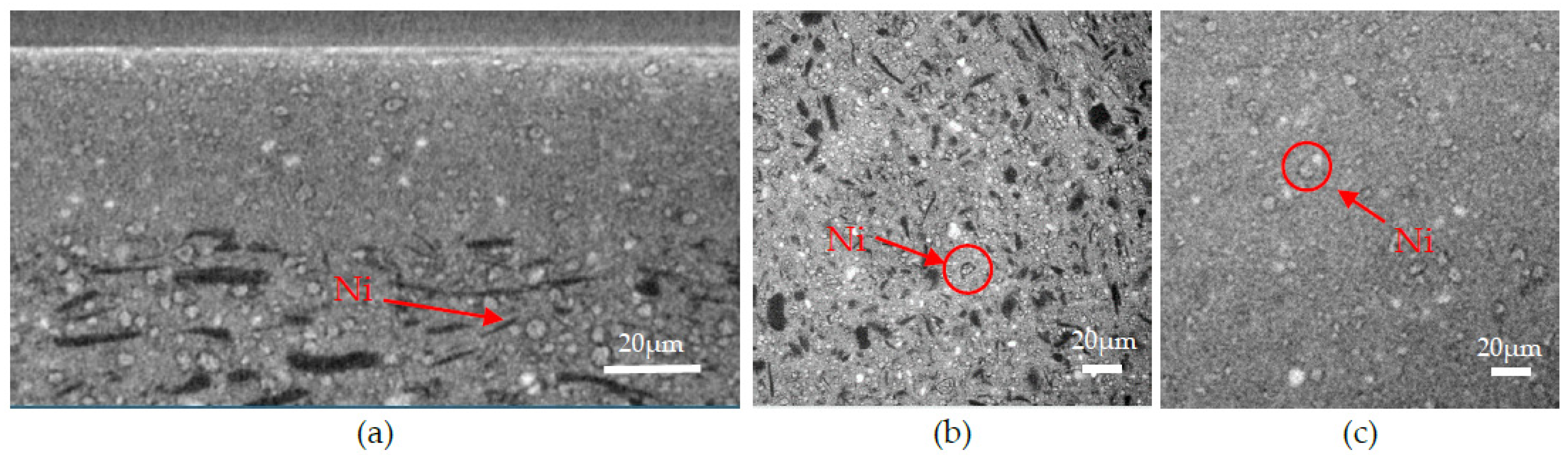 Membranes 12 00068 g010
