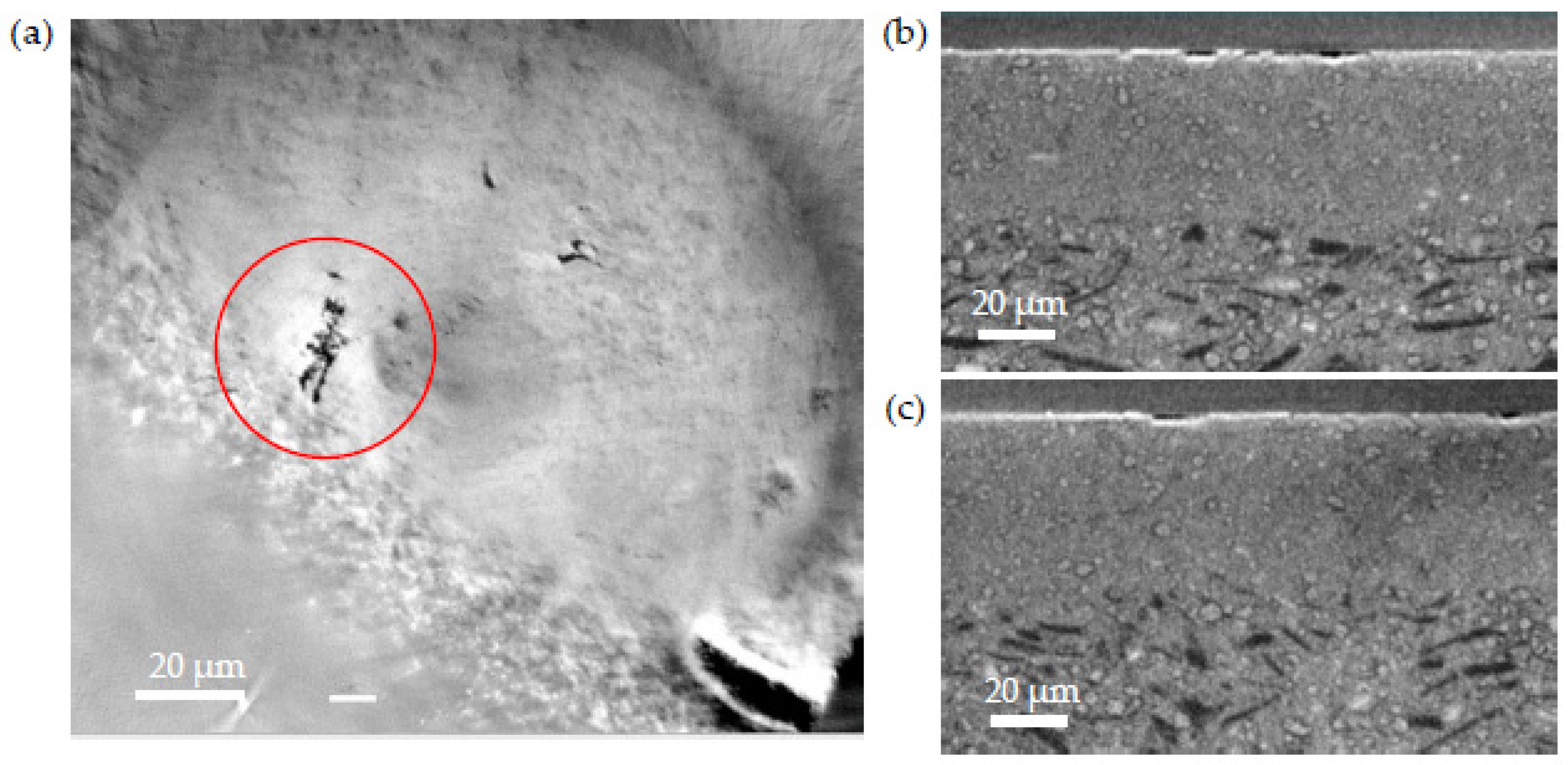 Membranes 12 00068 g011