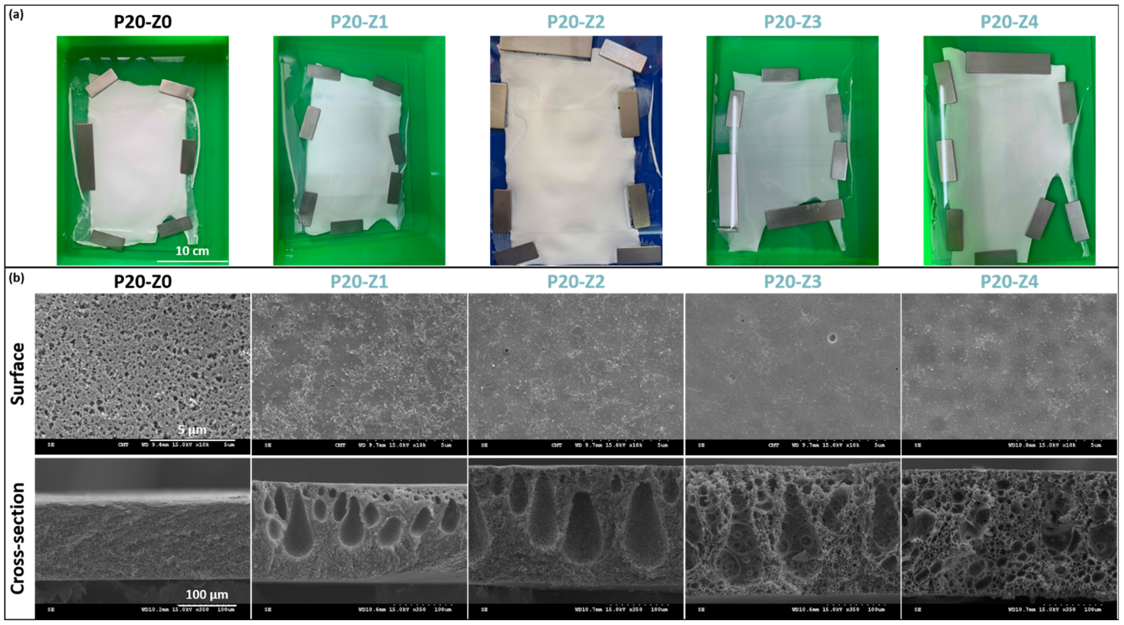 Membranes 12 00069 g003