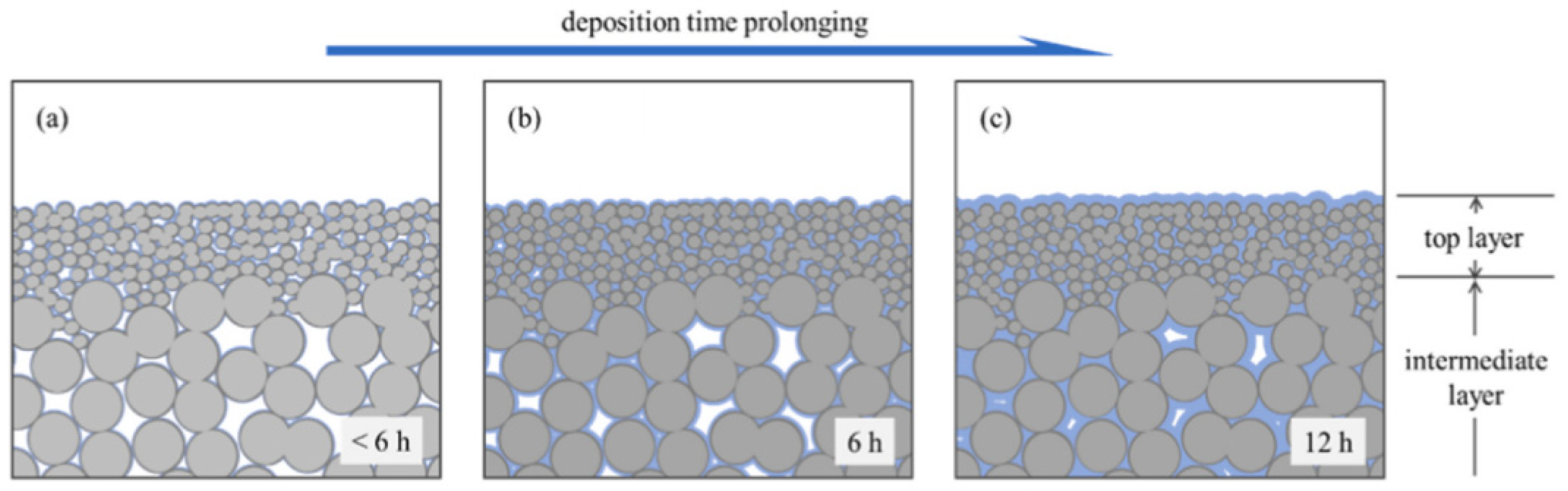 Membranes 12 00071 g012 Membranes 12 00071 g012