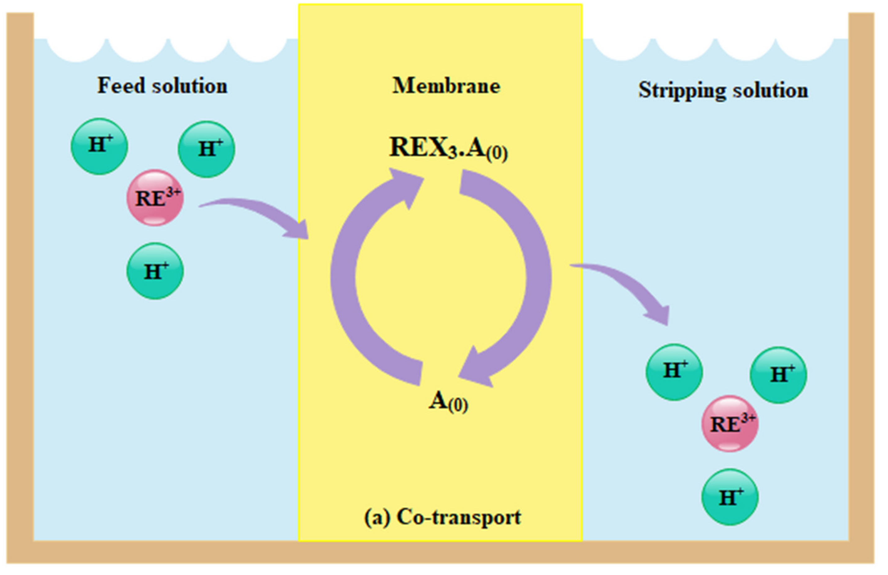 Membranes 12 00080 g002a