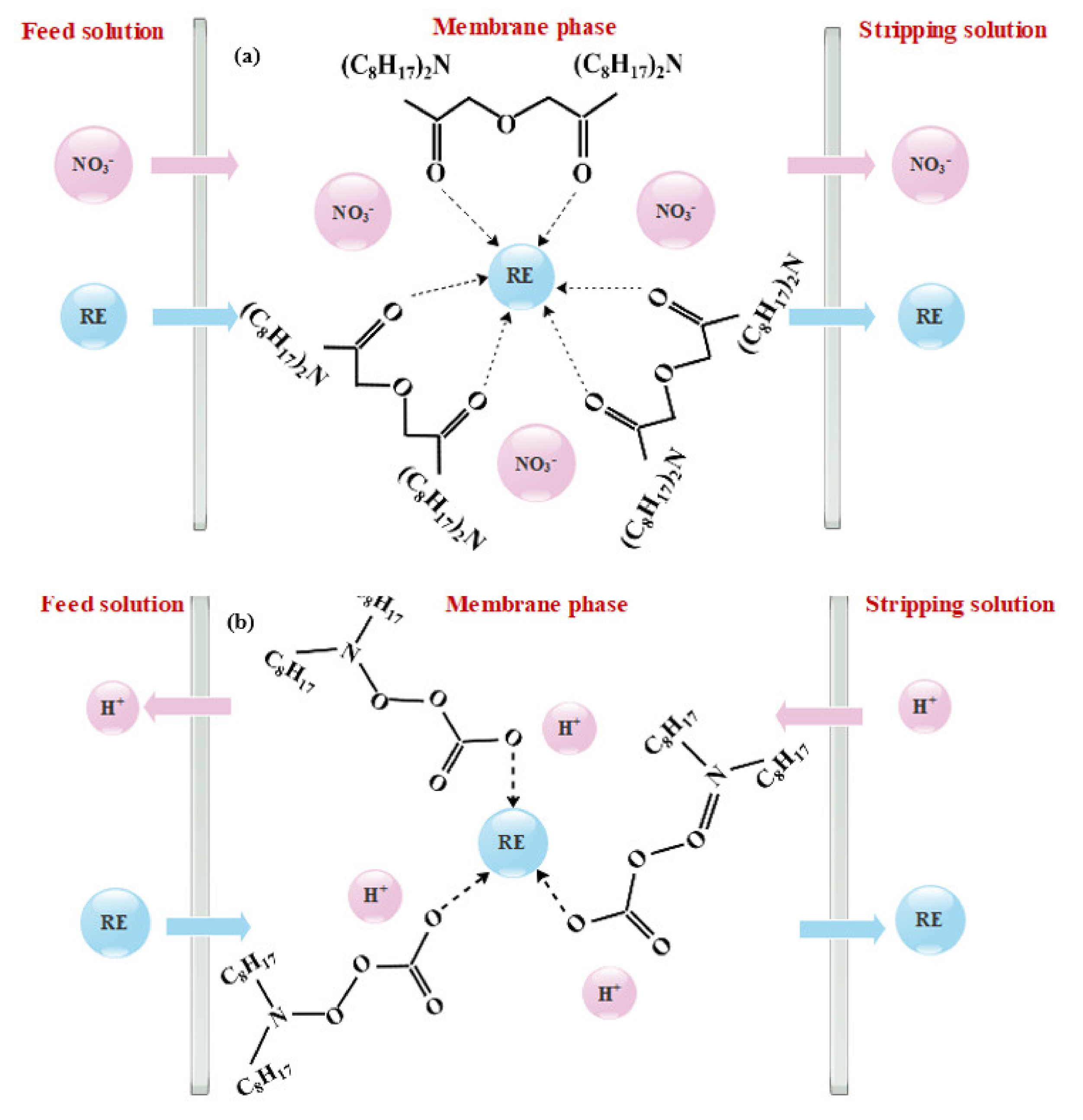 Membranes 12 00080 g003