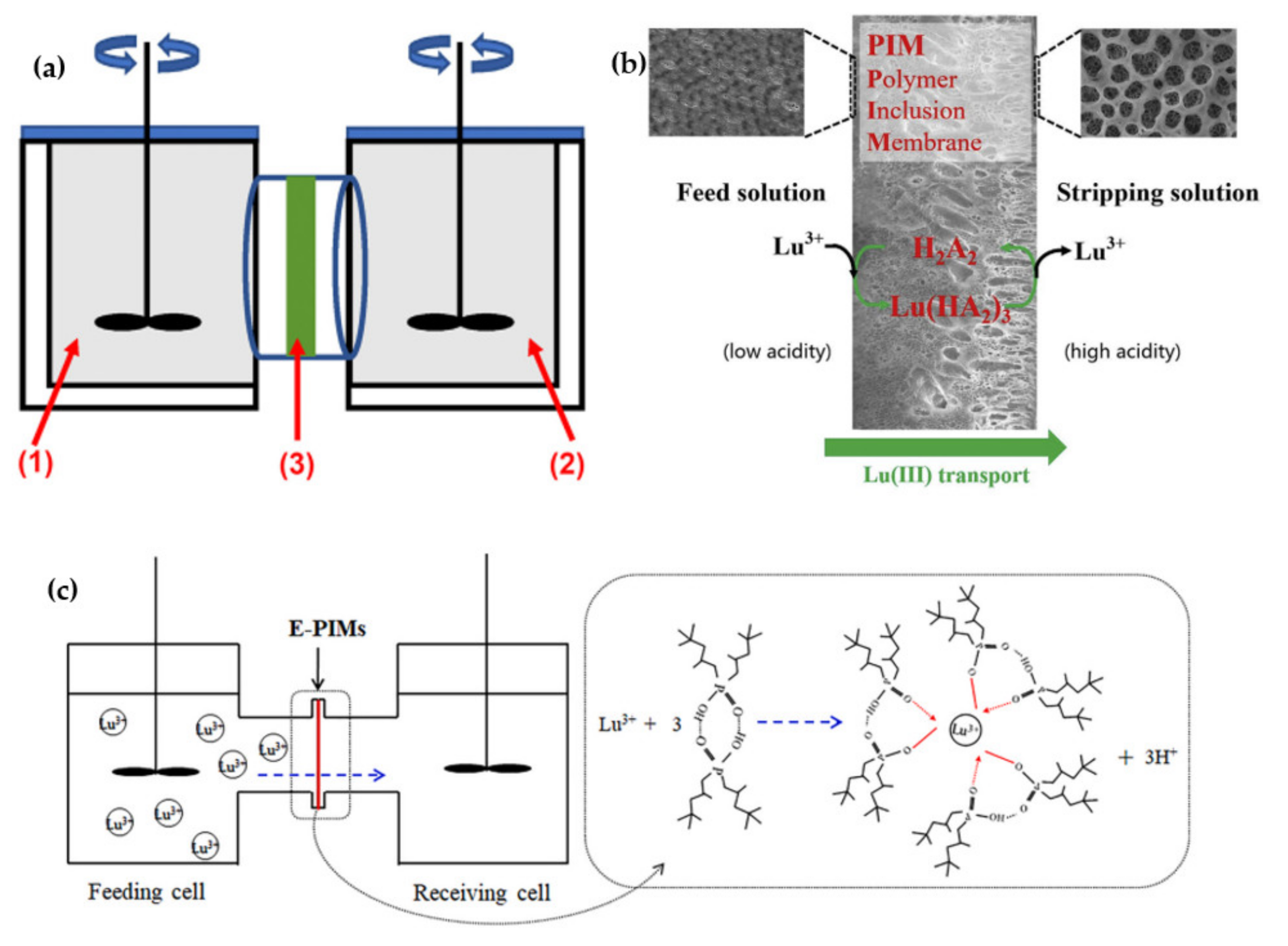 Membranes 12 00080 g004
