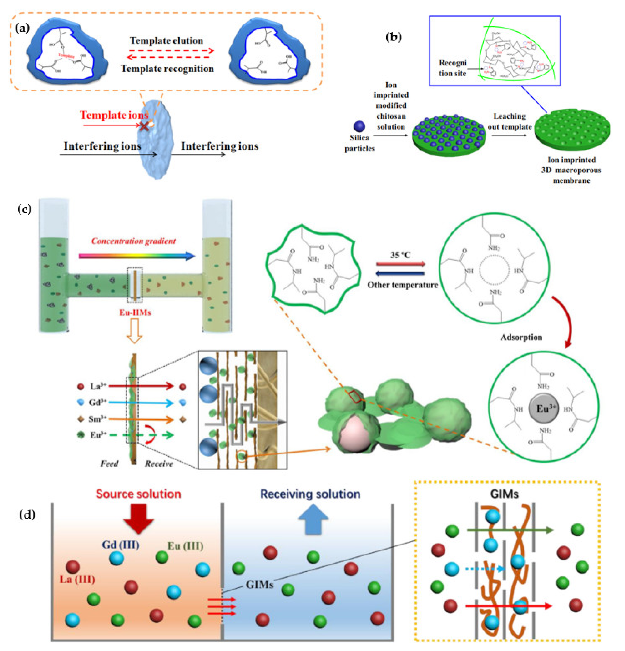 Membranes 12 00080 g005