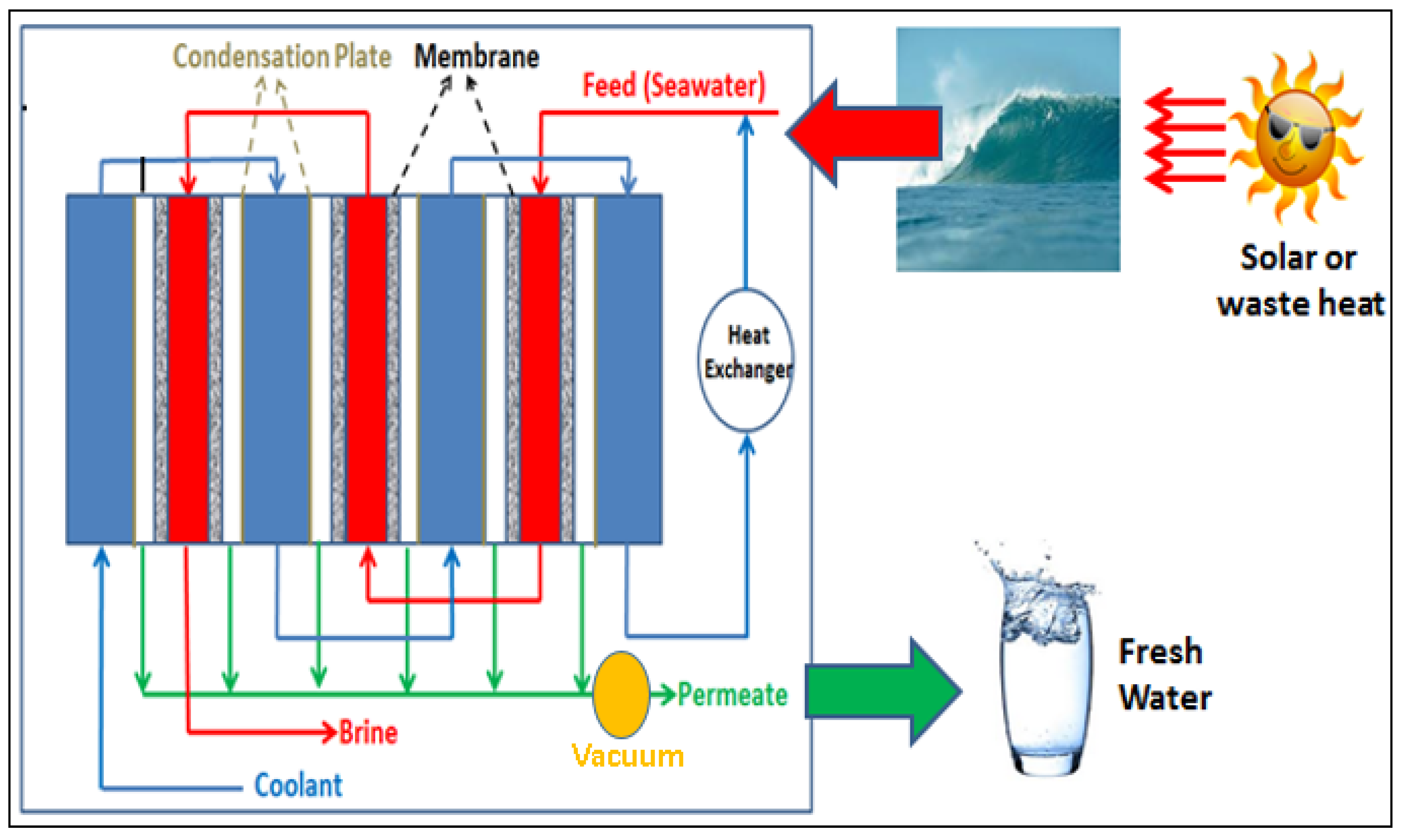 Membranes 12 00081 g005
