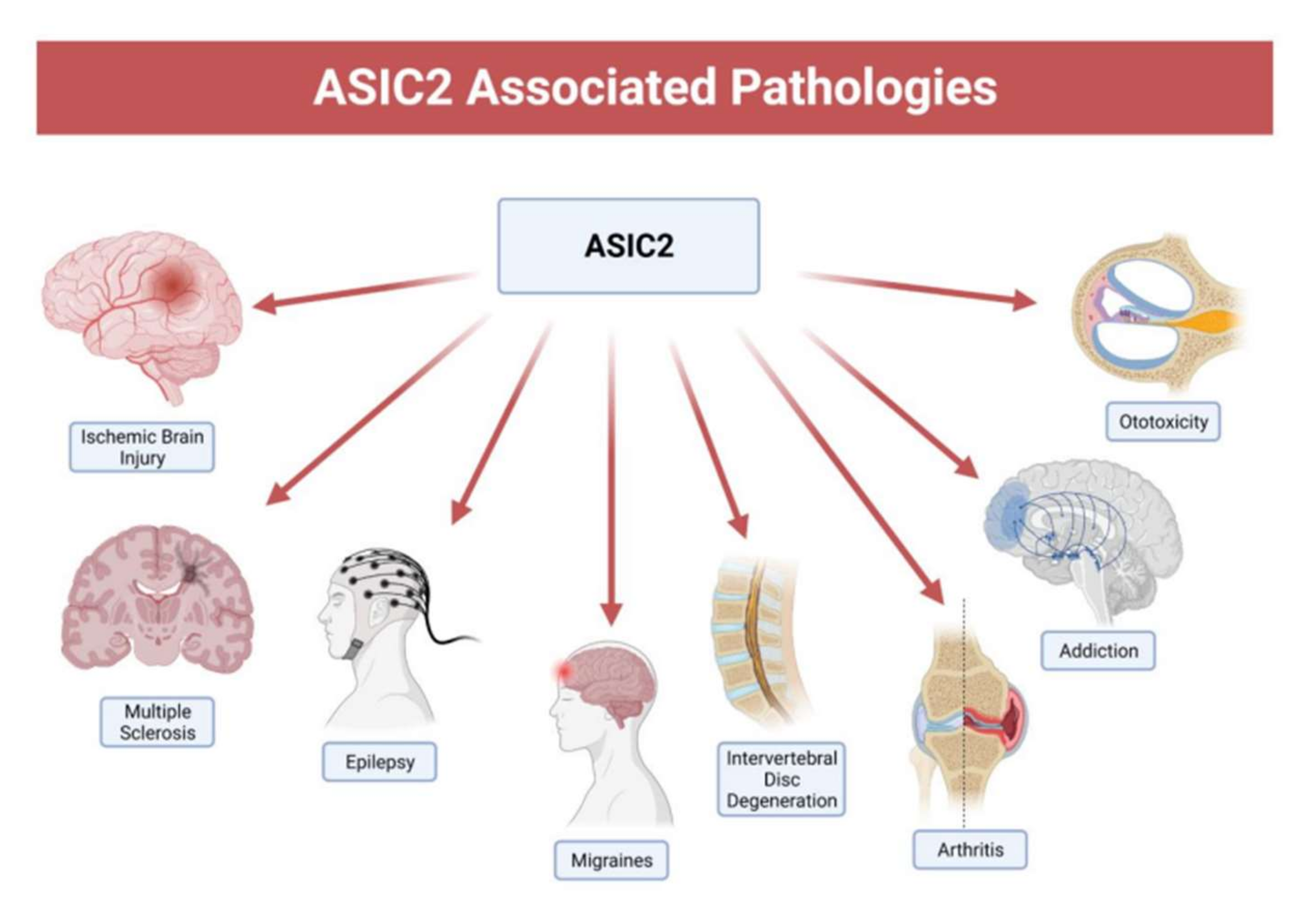 Membranes 12 00113 g003