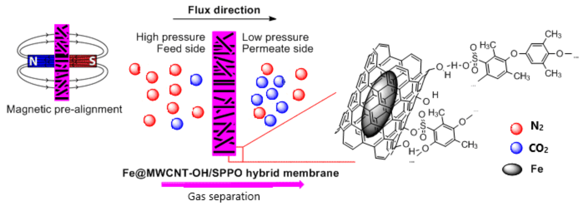 Membranes 12 00132 g002
