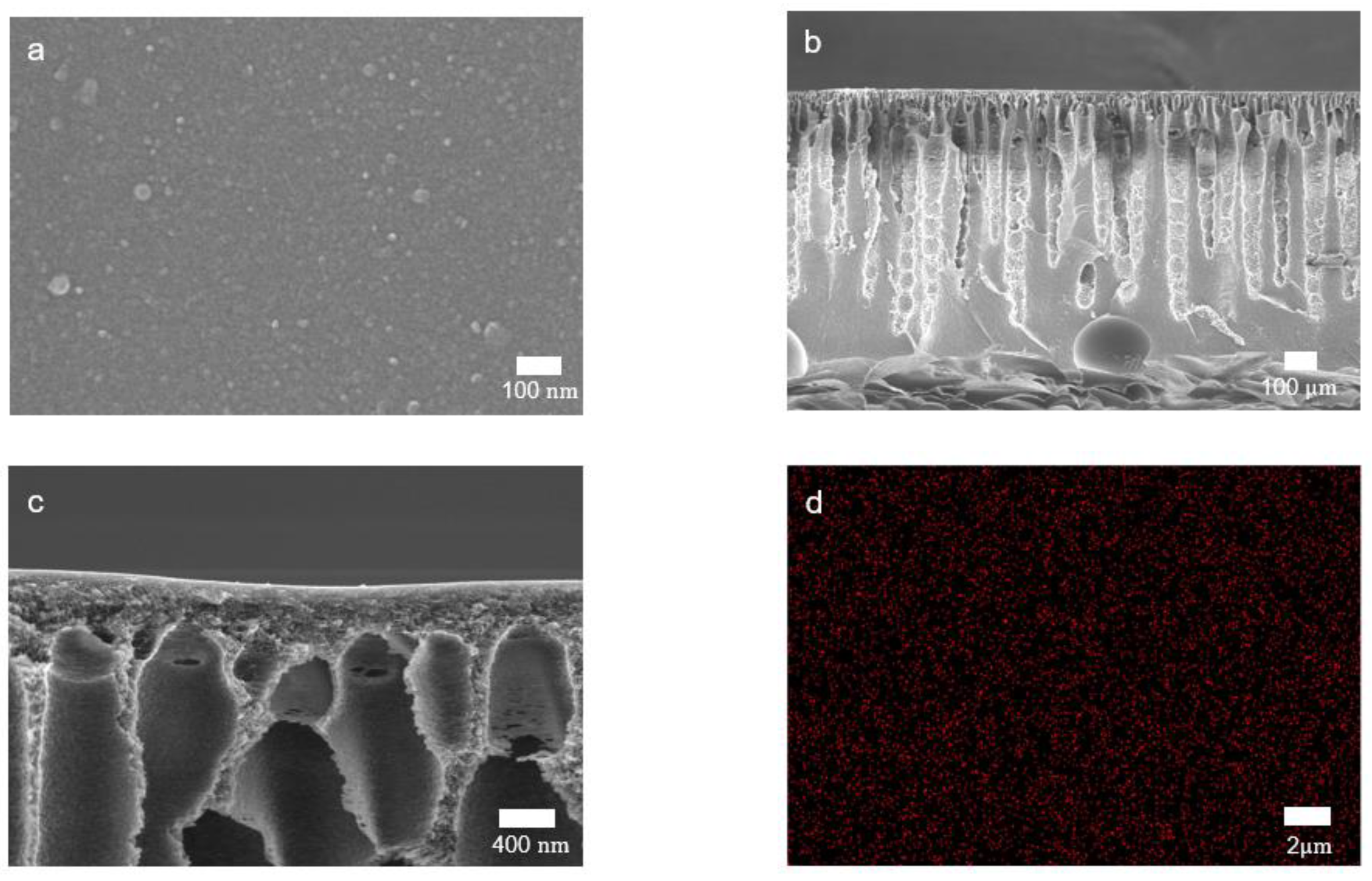 Membranes 12 00140 g004 Membranes 12 00140 g004