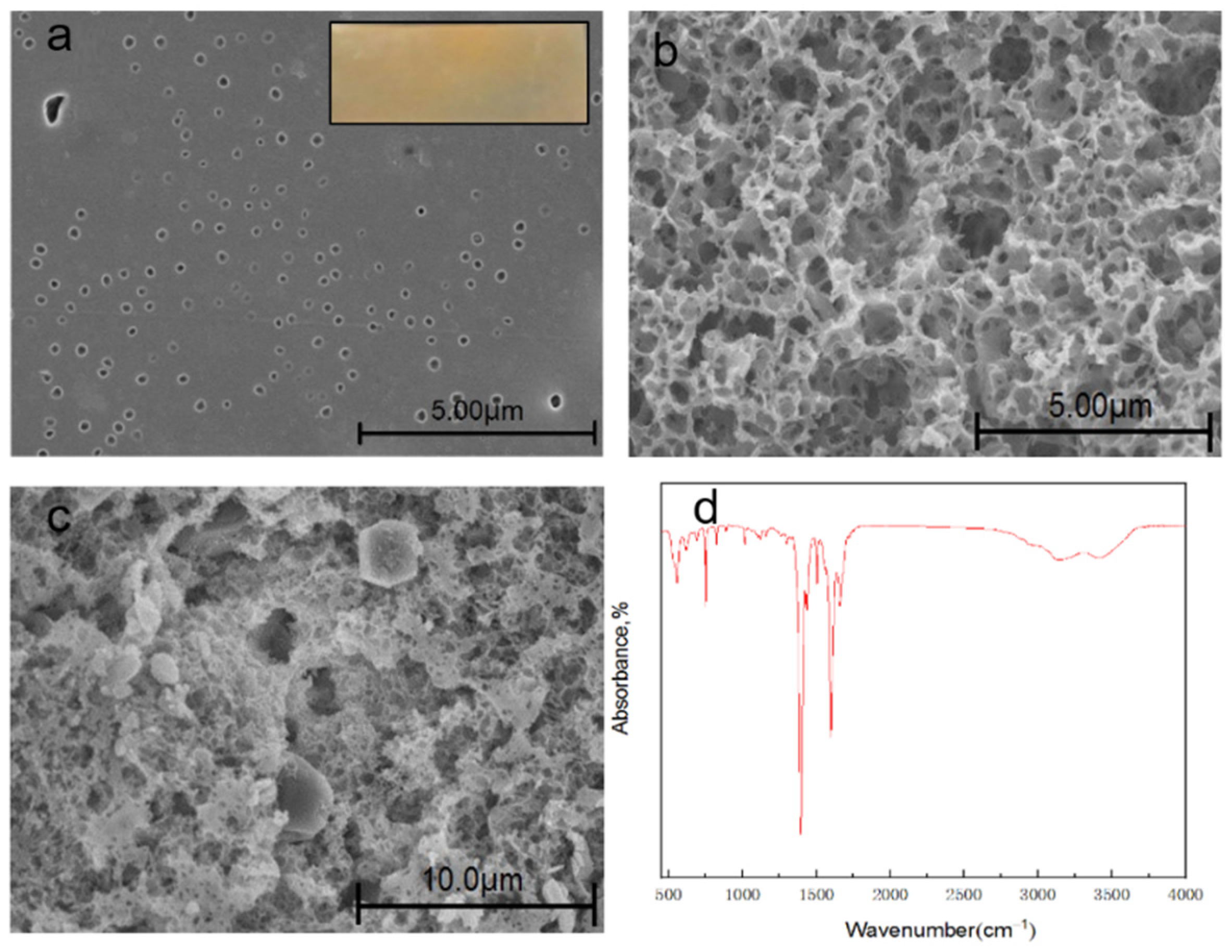 Membranes 12 00144 g015