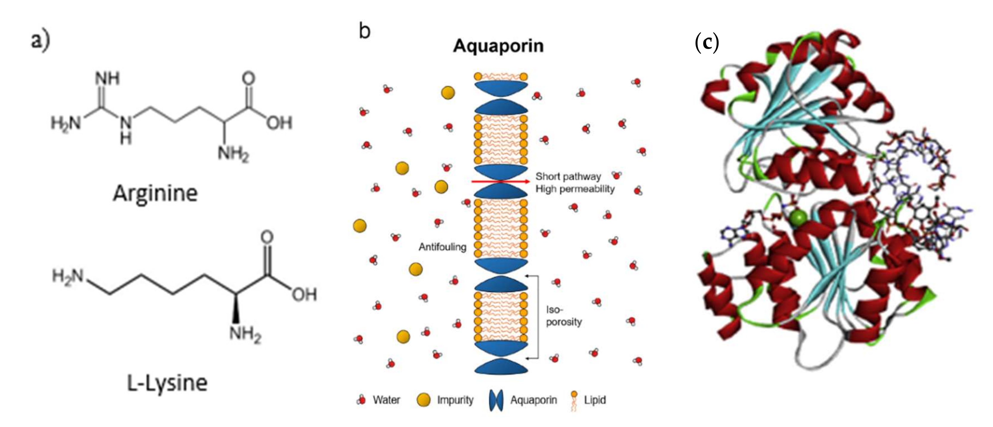 Membranes 12 00148 g002 Membranes 12 00148 g002