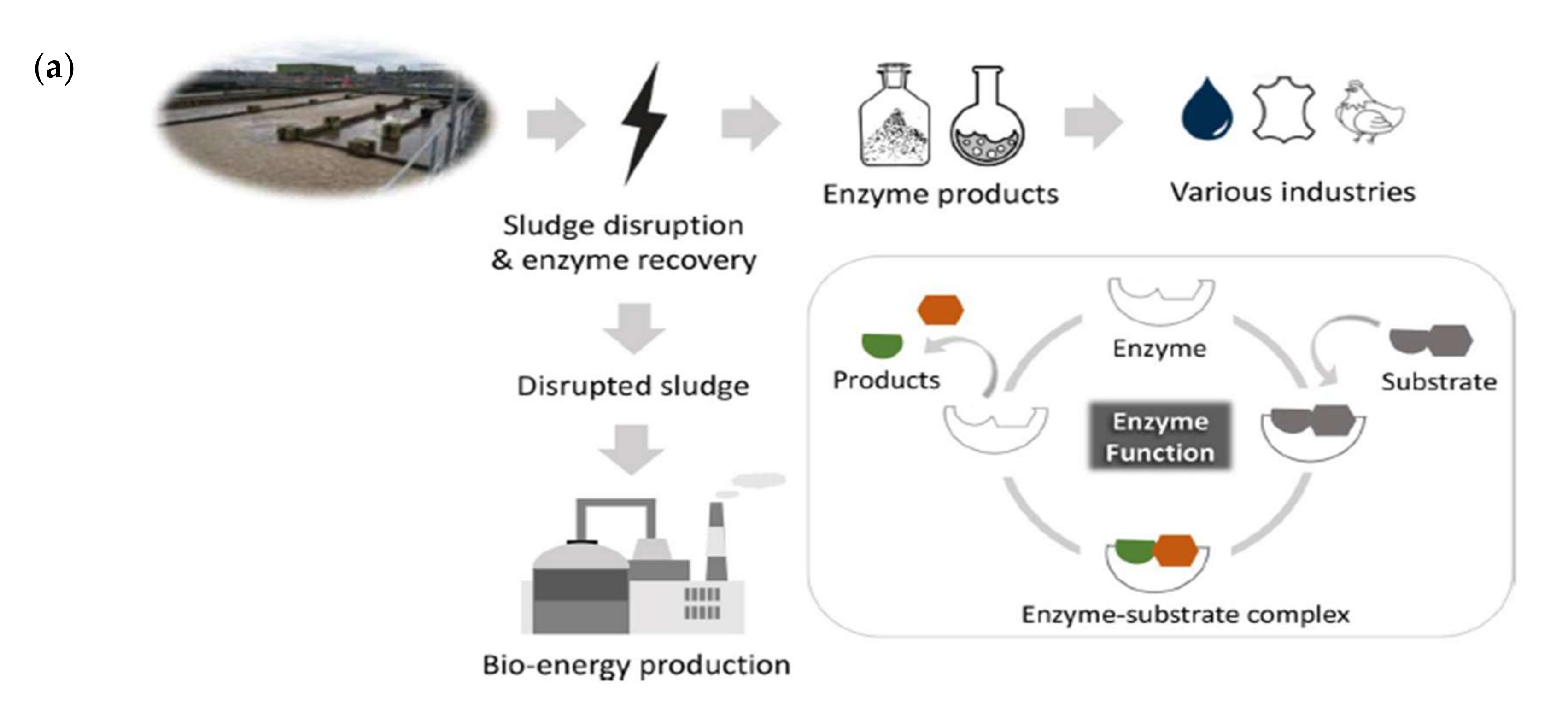 Membranes 12 00148 g003a Membranes 12 00148 g003a