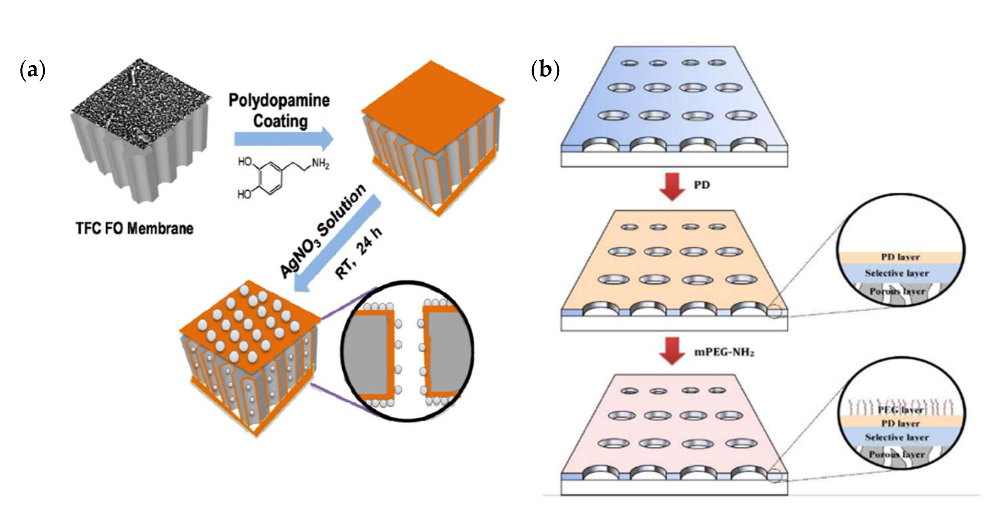 Membranes 12 00148 g005 Membranes 12 00148 g005