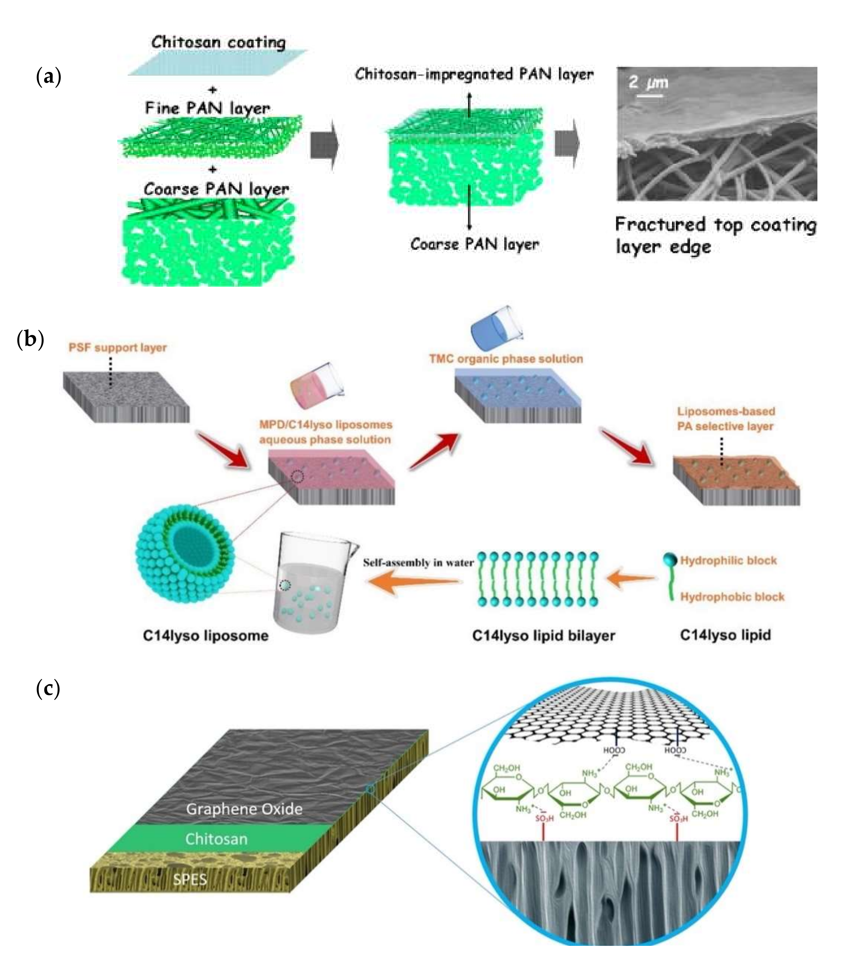 Membranes 12 00148 g006 Membranes 12 00148 g006