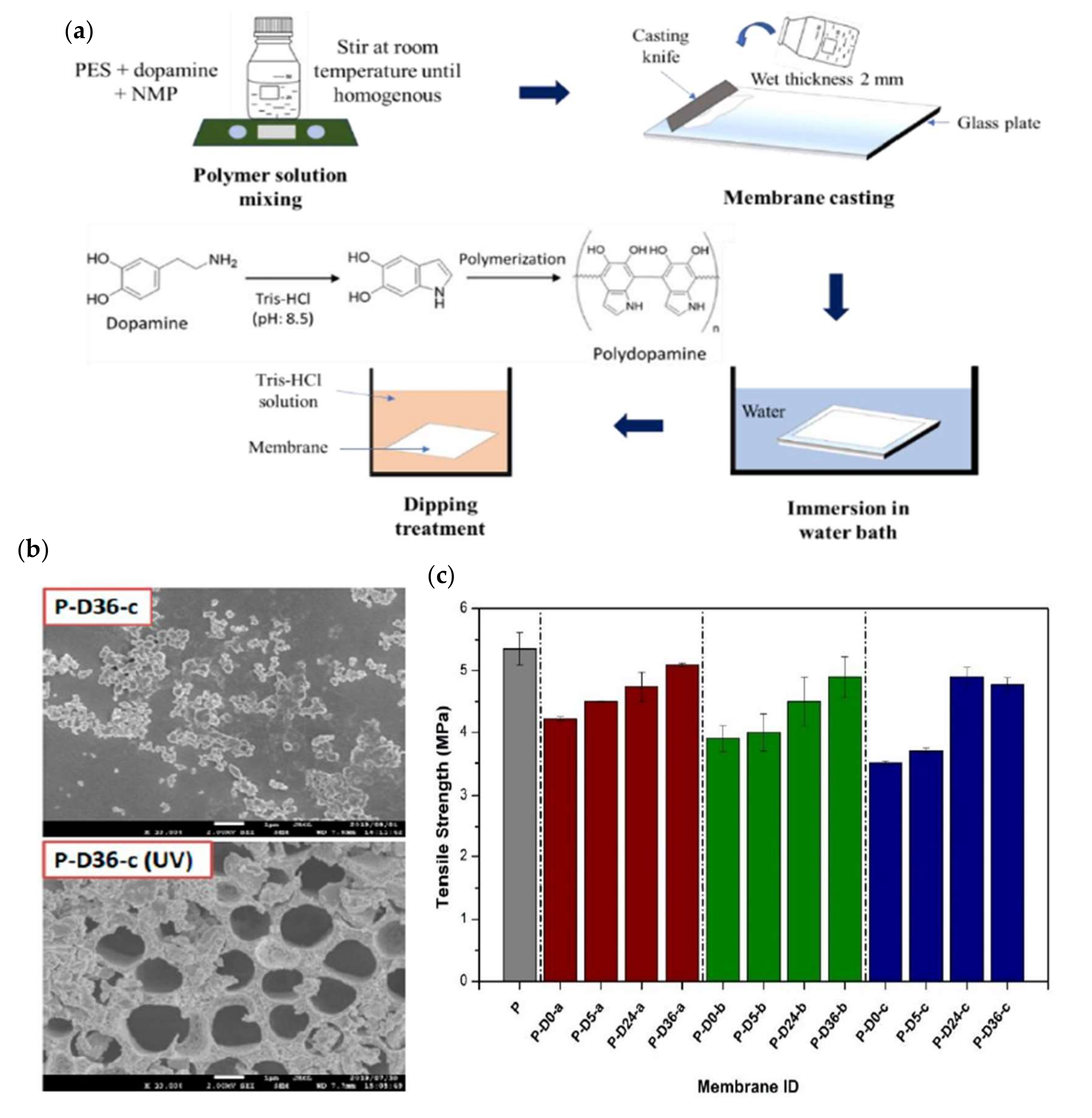 Membranes 12 00148 g011 Membranes 12 00148 g011
