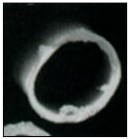 Membranes 12 00152 i001