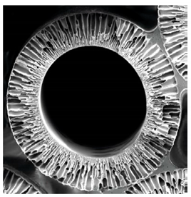 Membranes 12 00152 i002