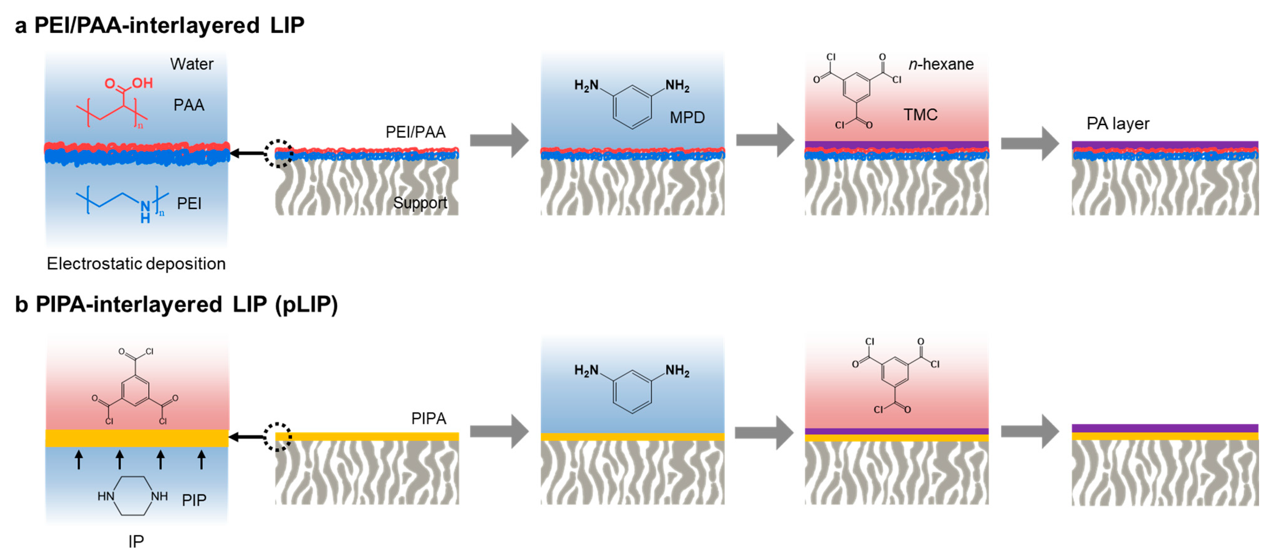 Membranes 12 00156 g001