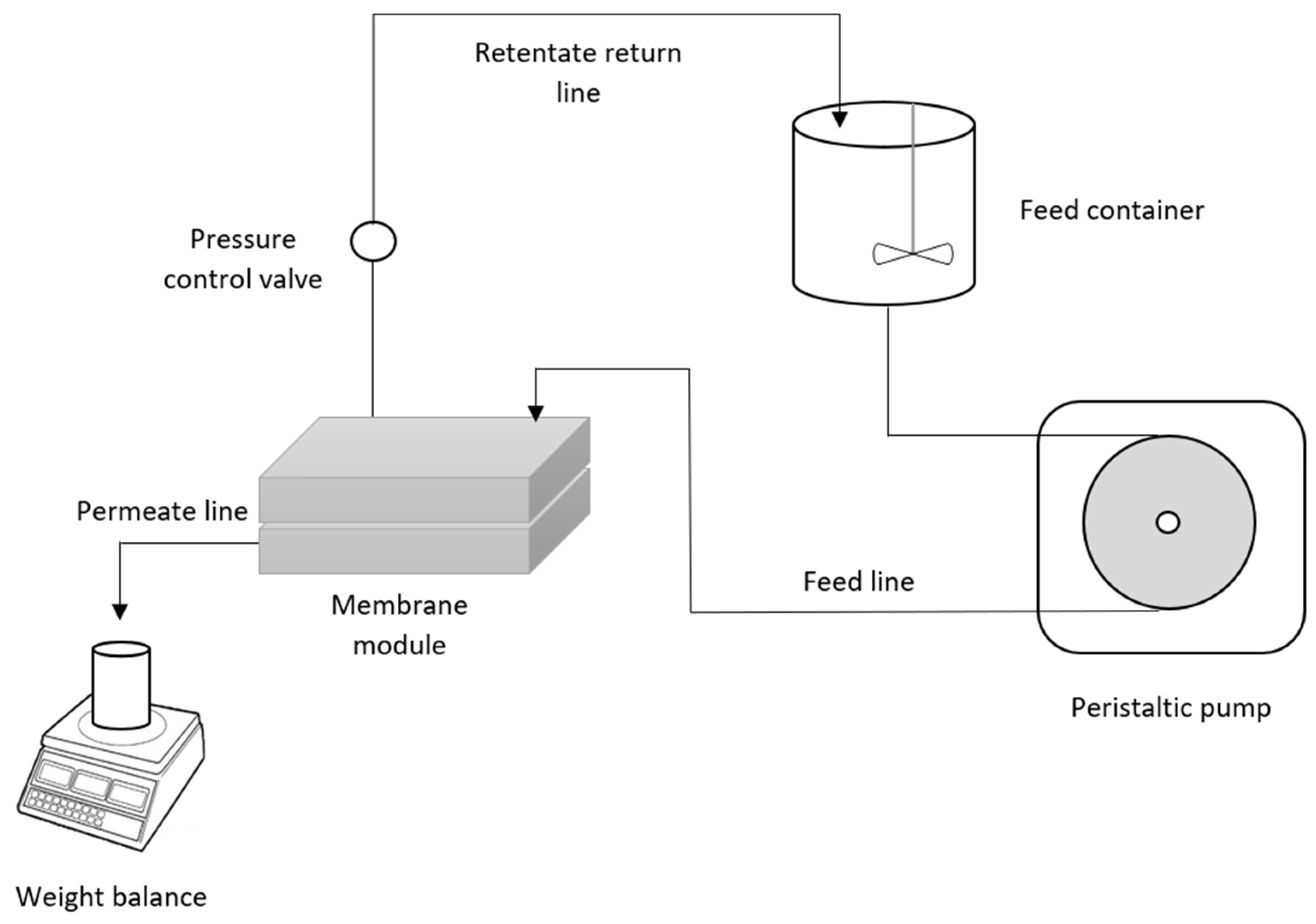 Membranes 12 00162 g001