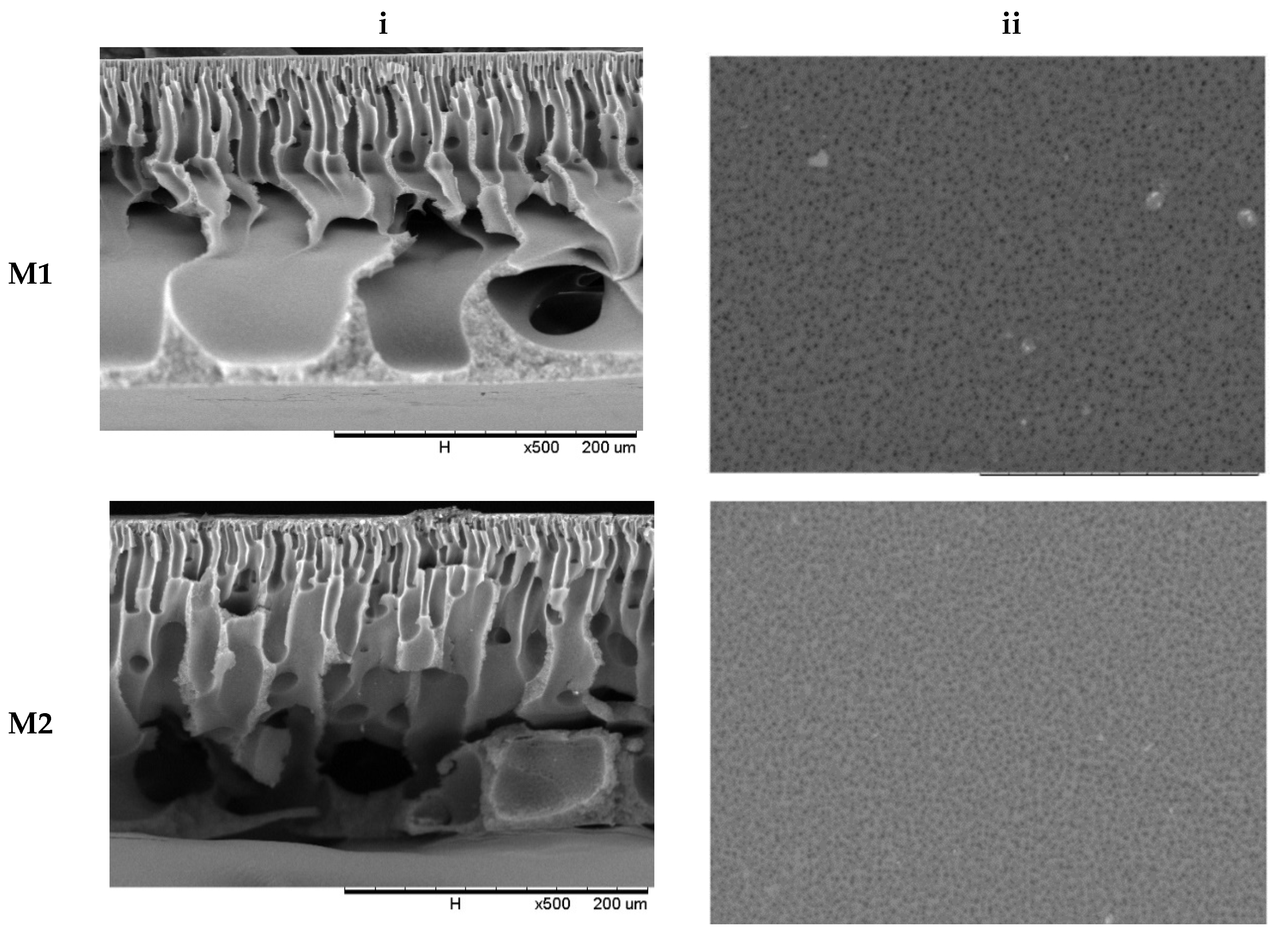 Membranes 12 00162 g002a