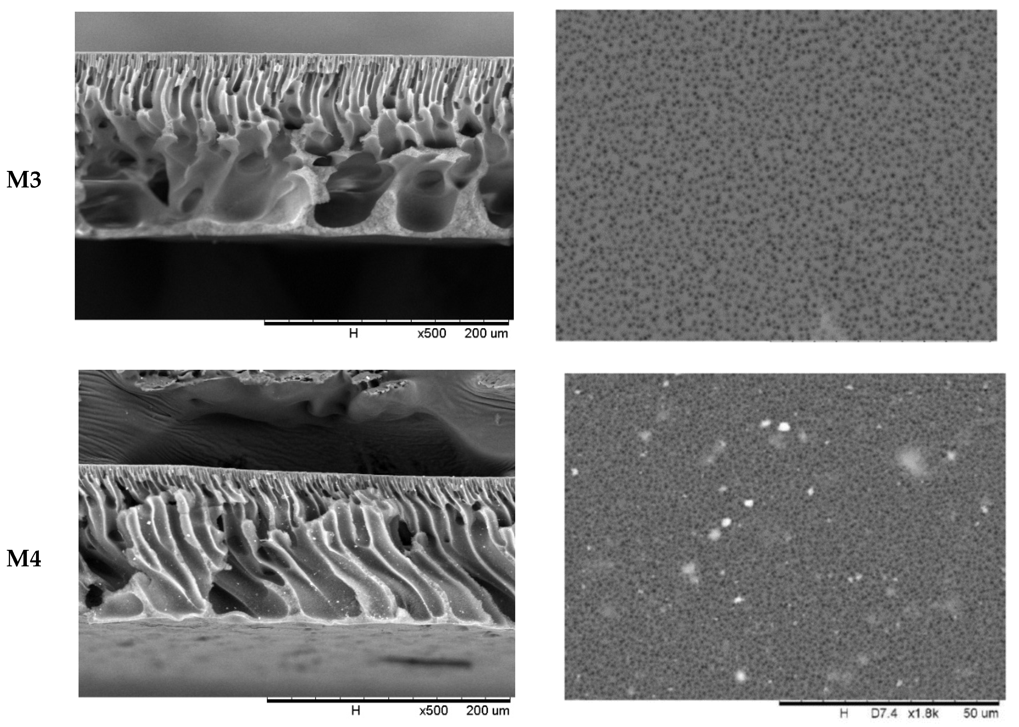 Membranes 12 00162 g002b