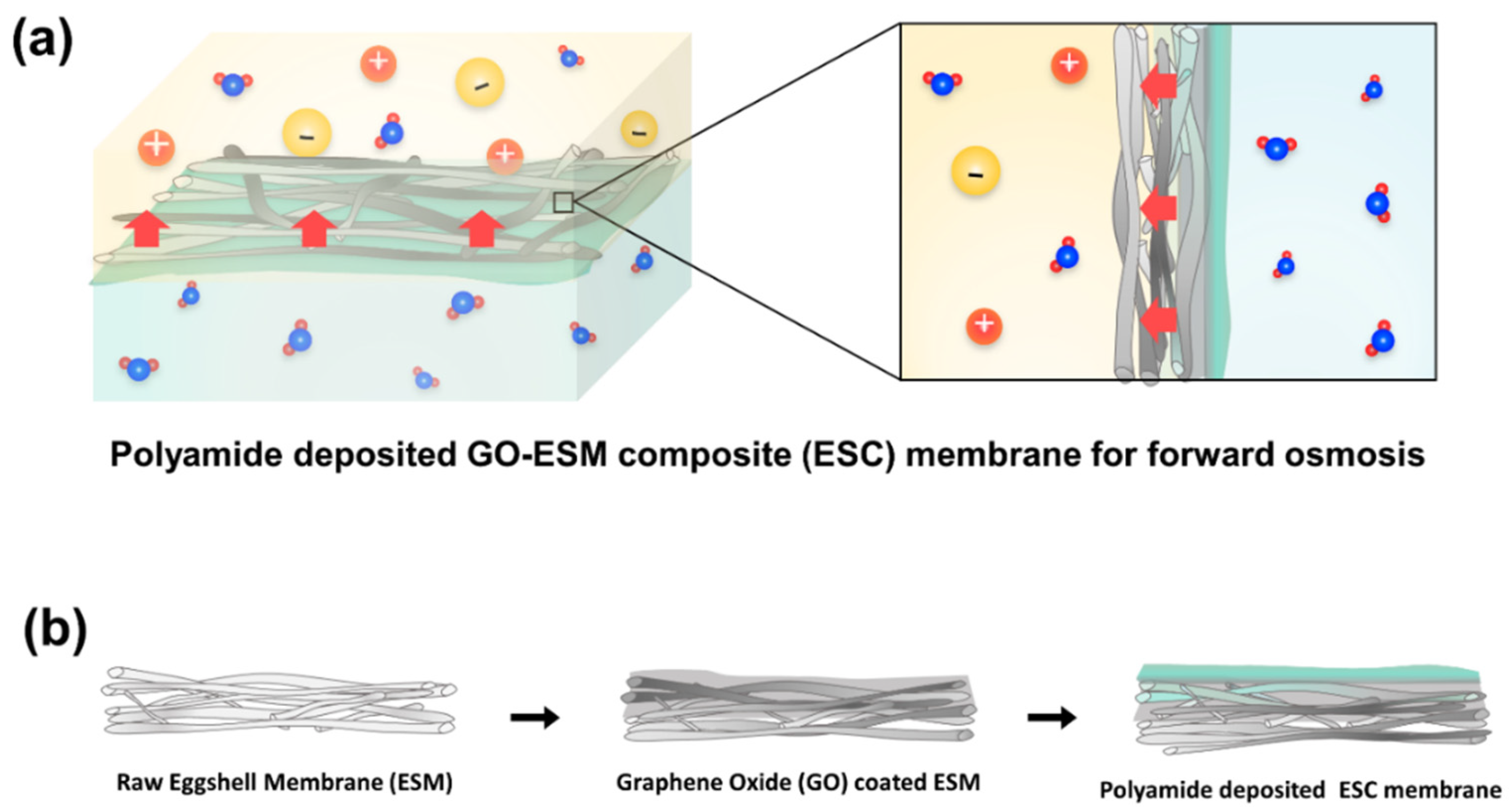 Membranes 12 00166 g001