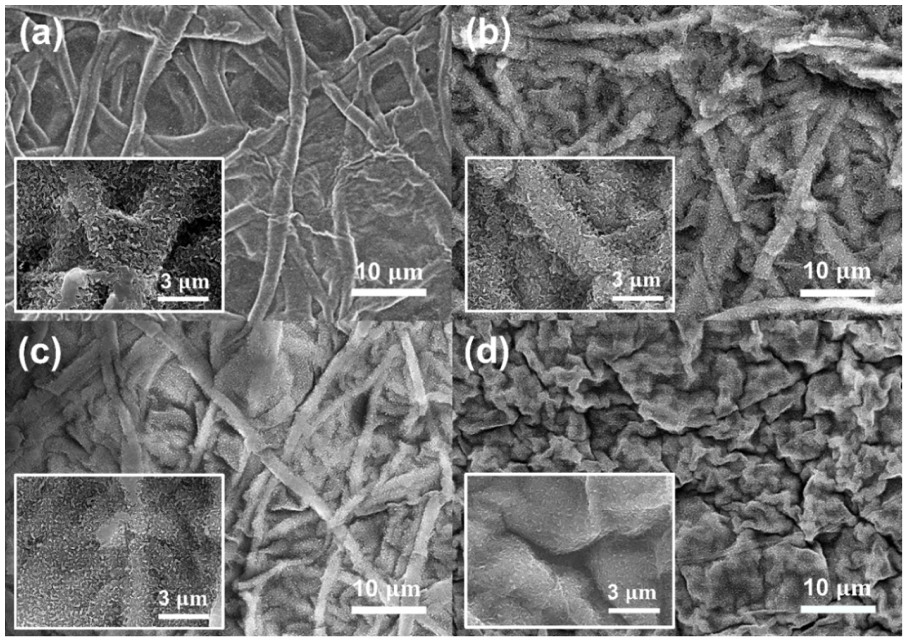 Membranes 12 00166 g006