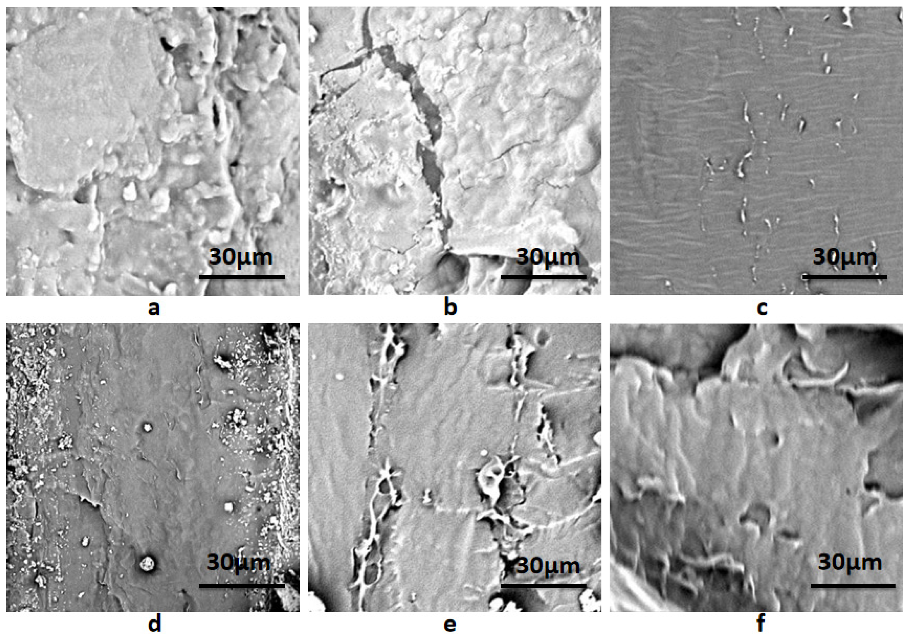 Membranes 12 00169 g004