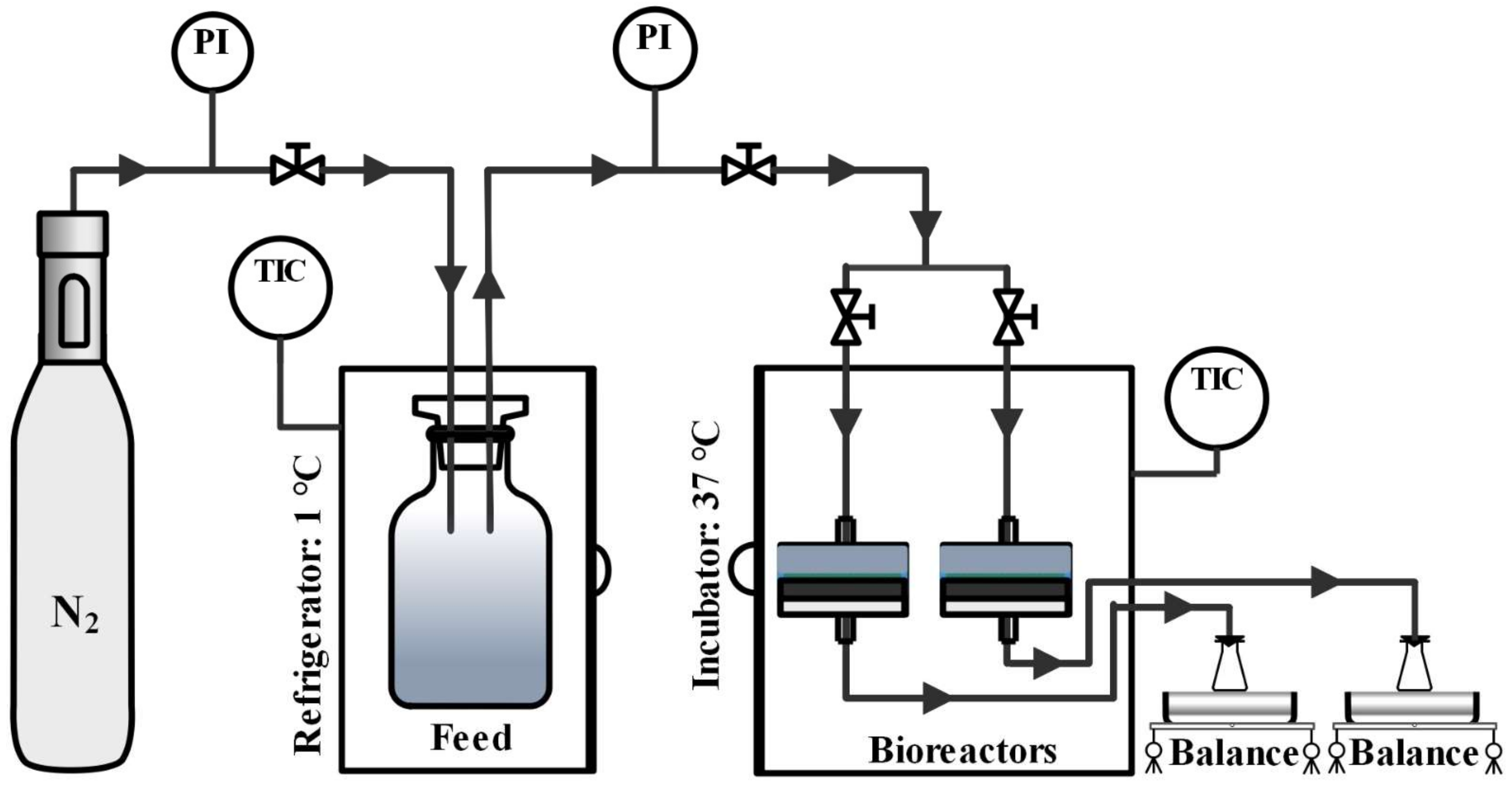 Membranes 12 00174 g001