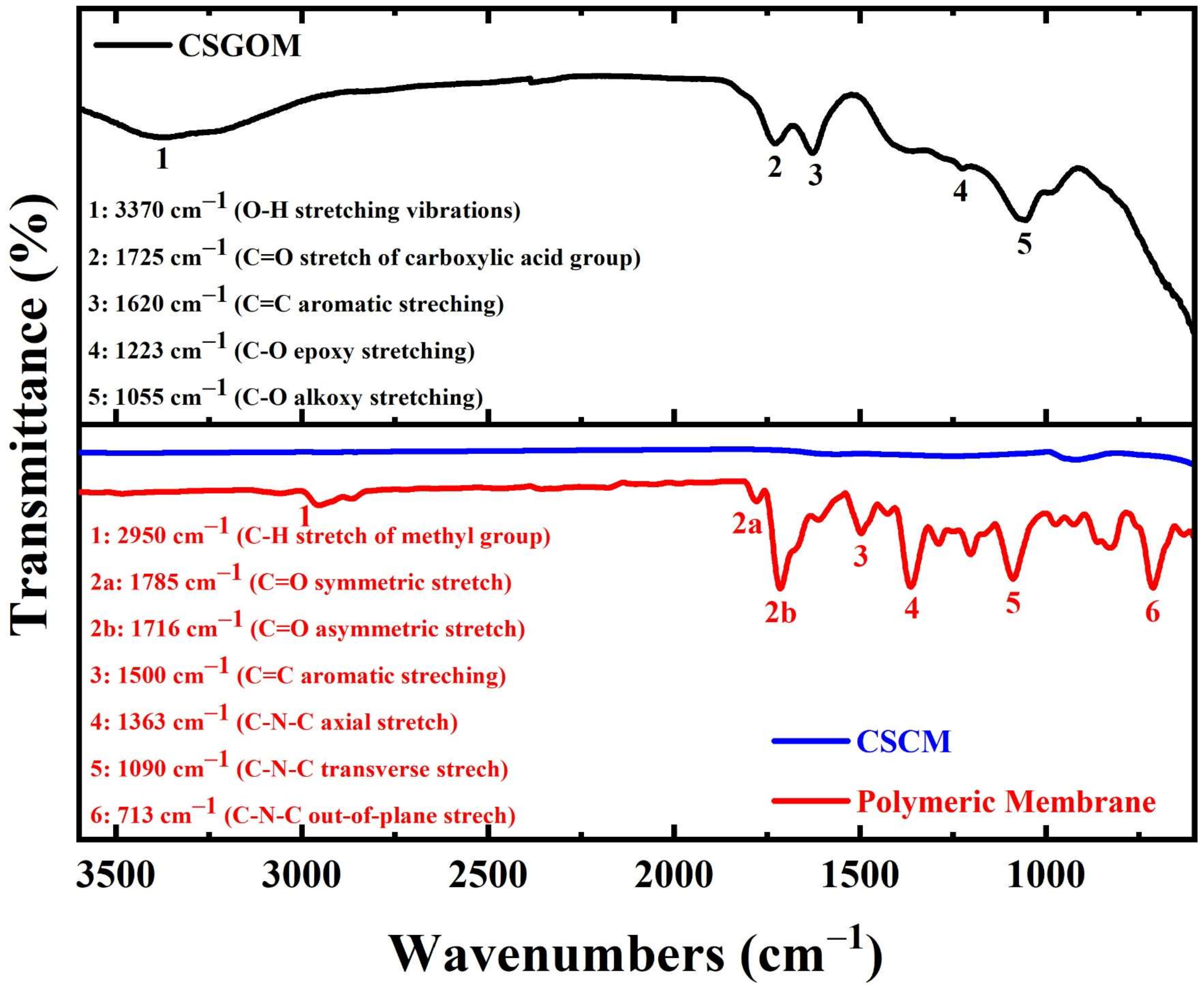 Membranes 12 00174 g002