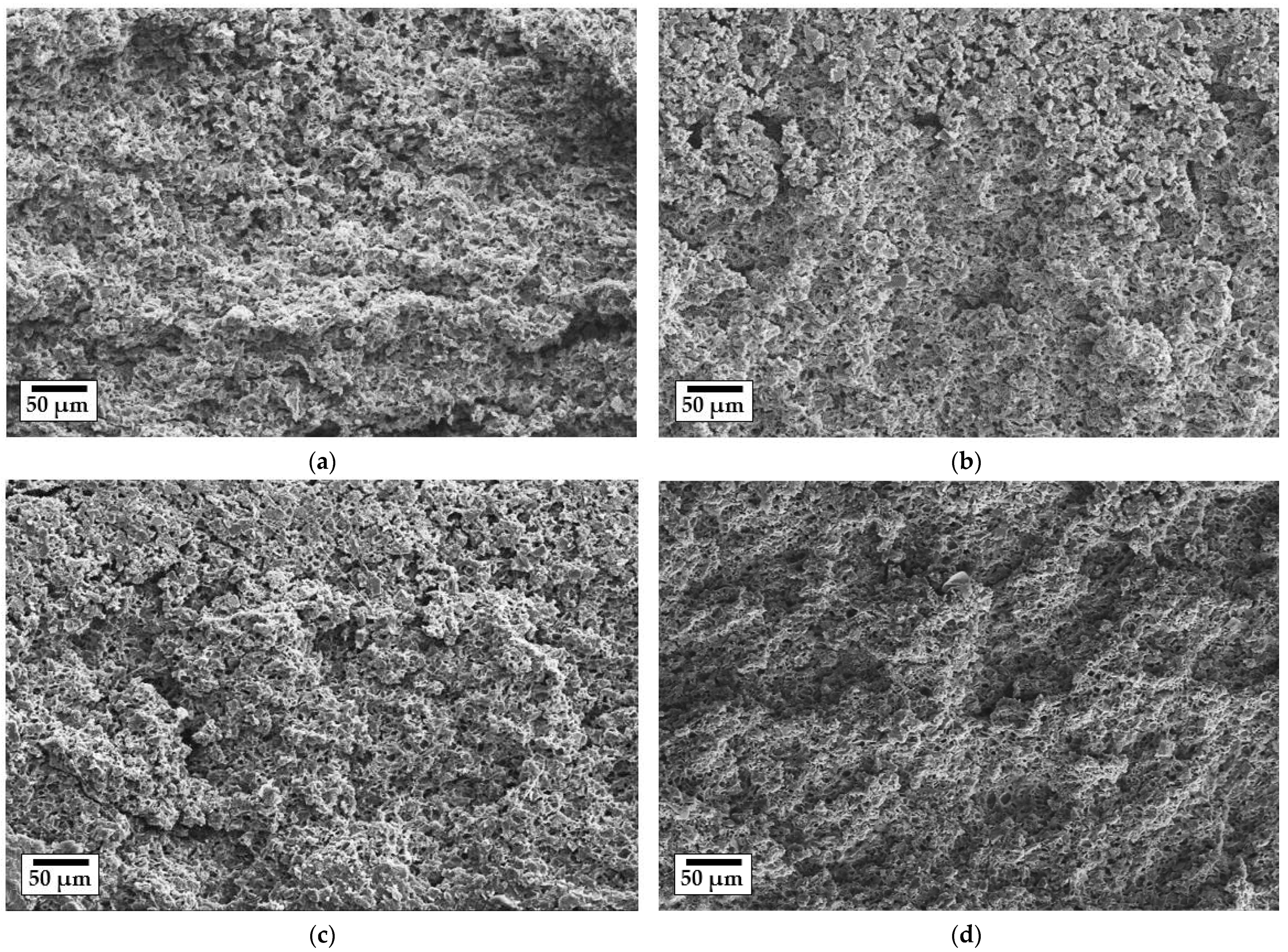 Membranes 12 00175 g003