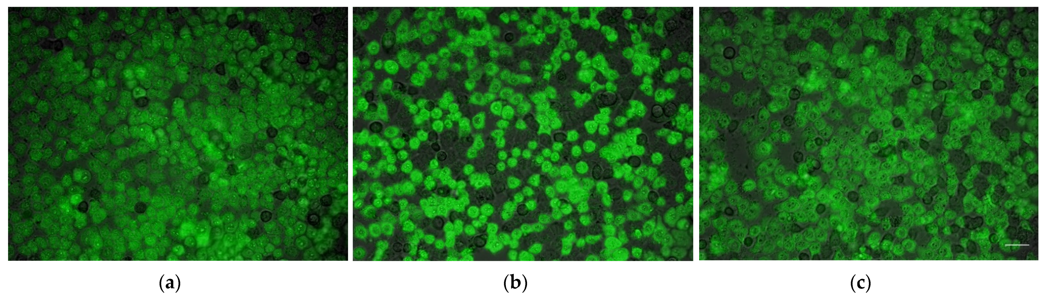Membranes 12 00180 g002