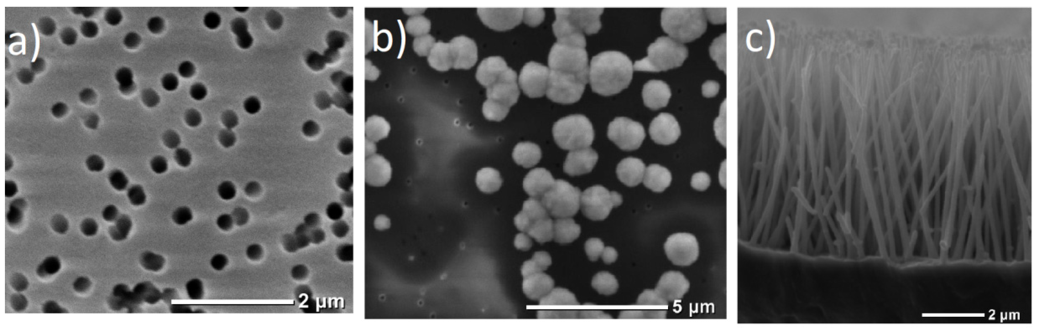Membranes 12 00195 g001