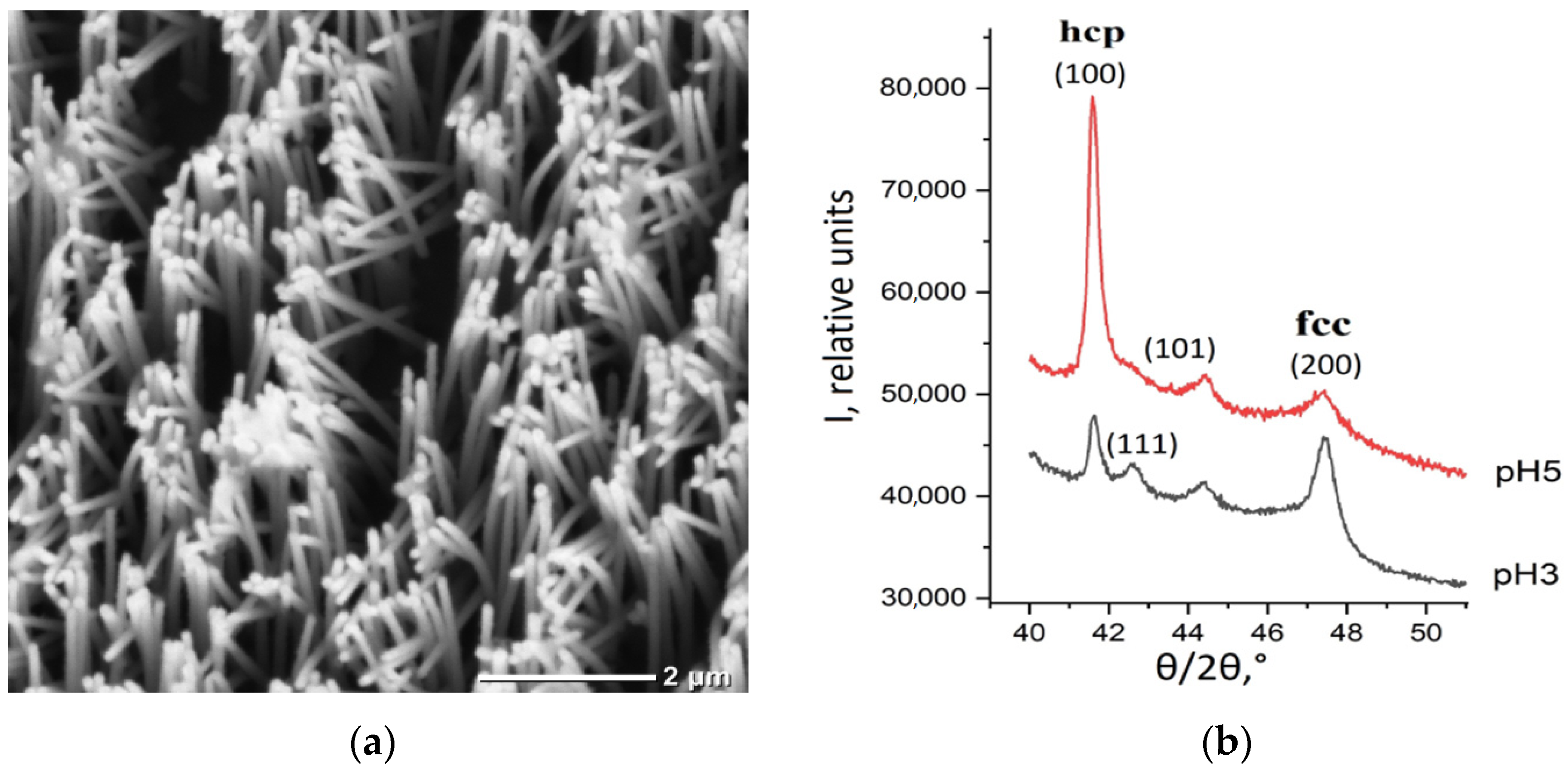 Membranes 12 00195 g003