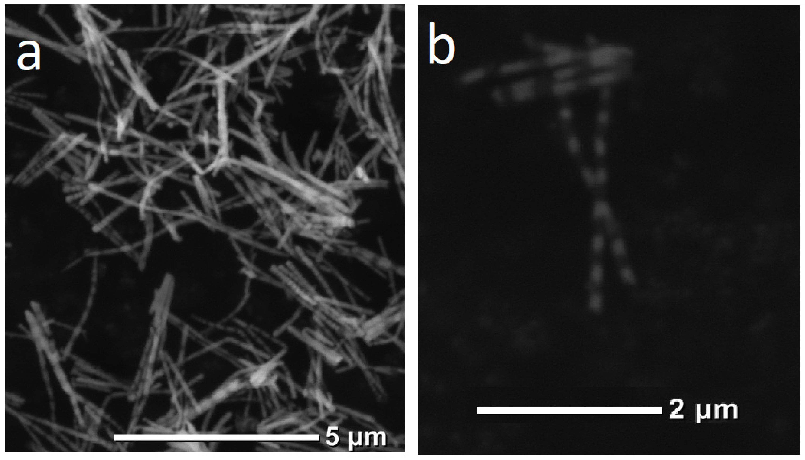 Membranes 12 00195 g008
