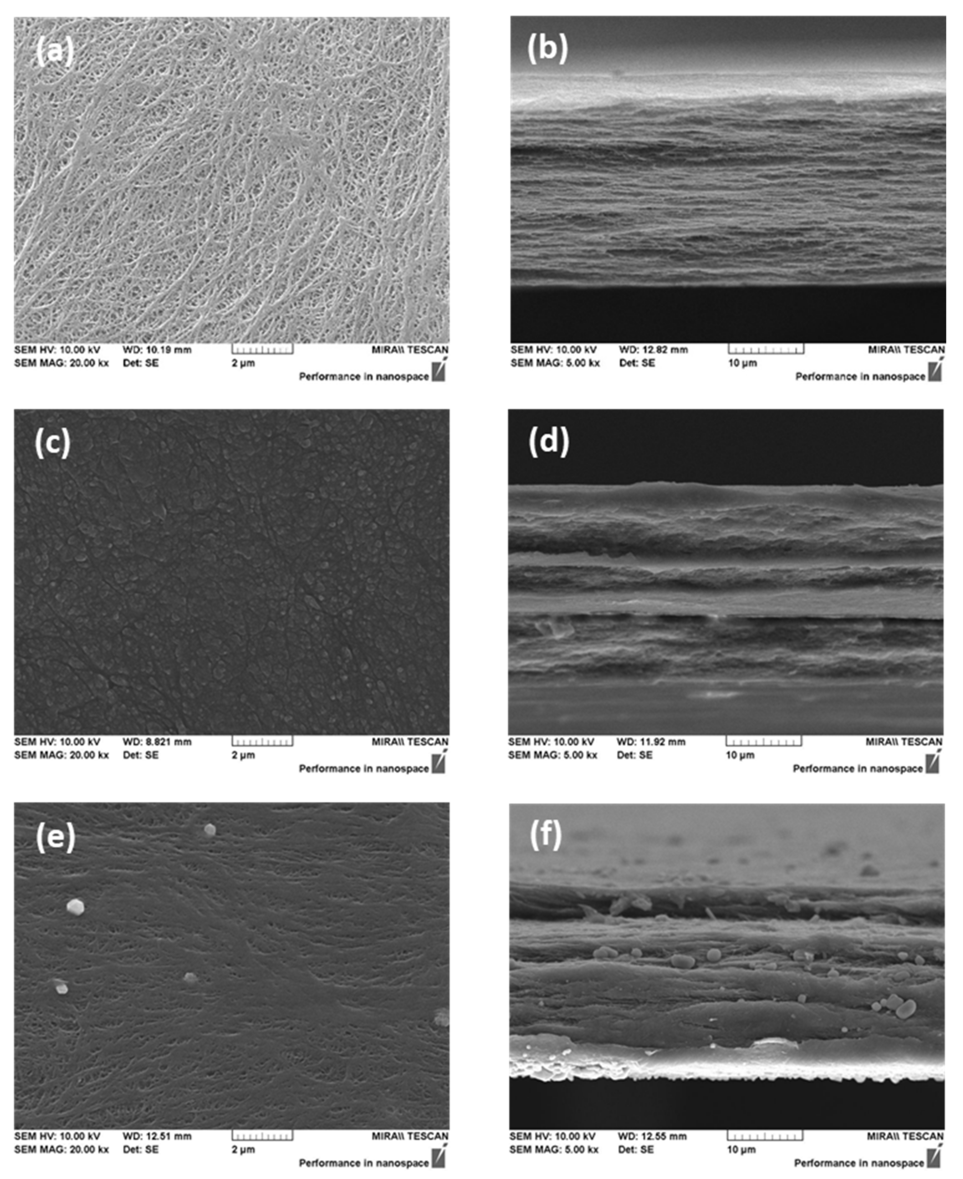 Membranes 12 00196 g003