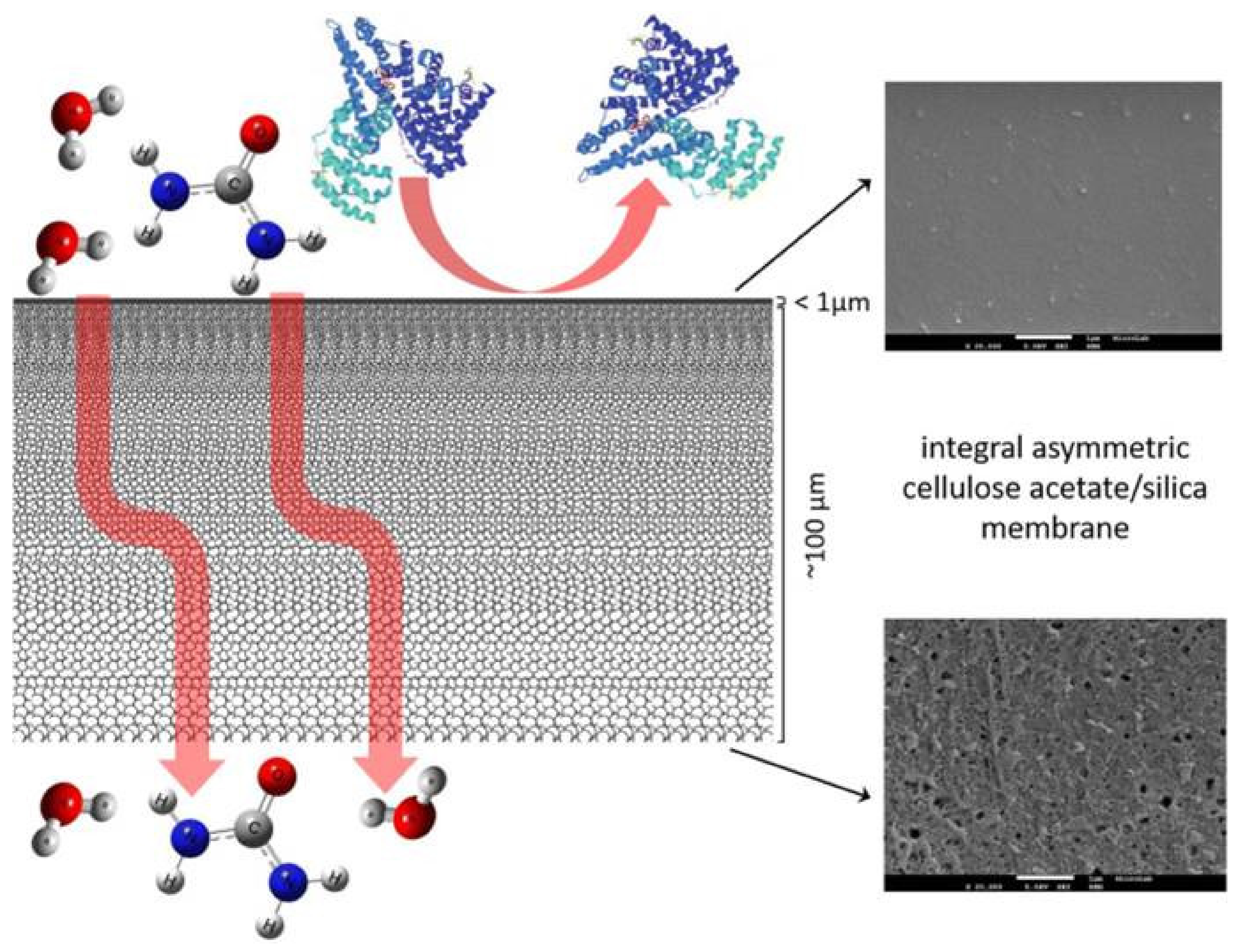 Membranes 12 00197 g004 Membranes 12 00197 g004