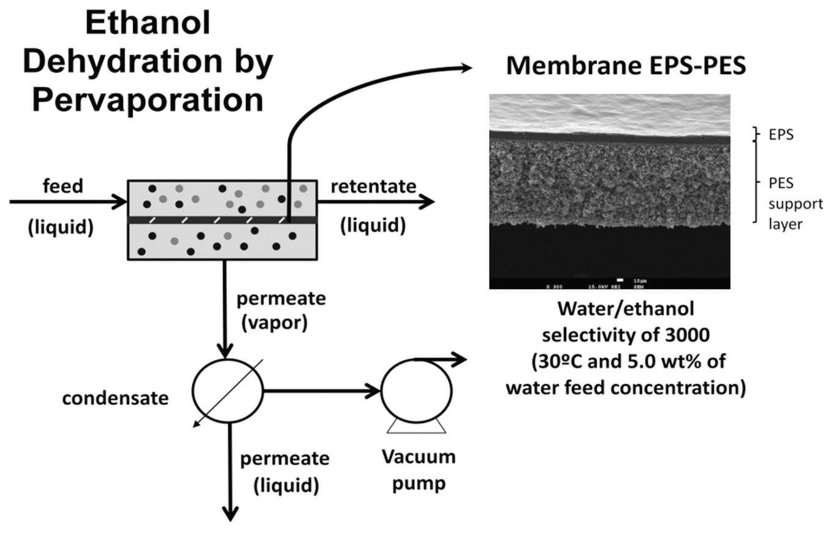 Membranes 12 00197 g008 Membranes 12 00197 g008