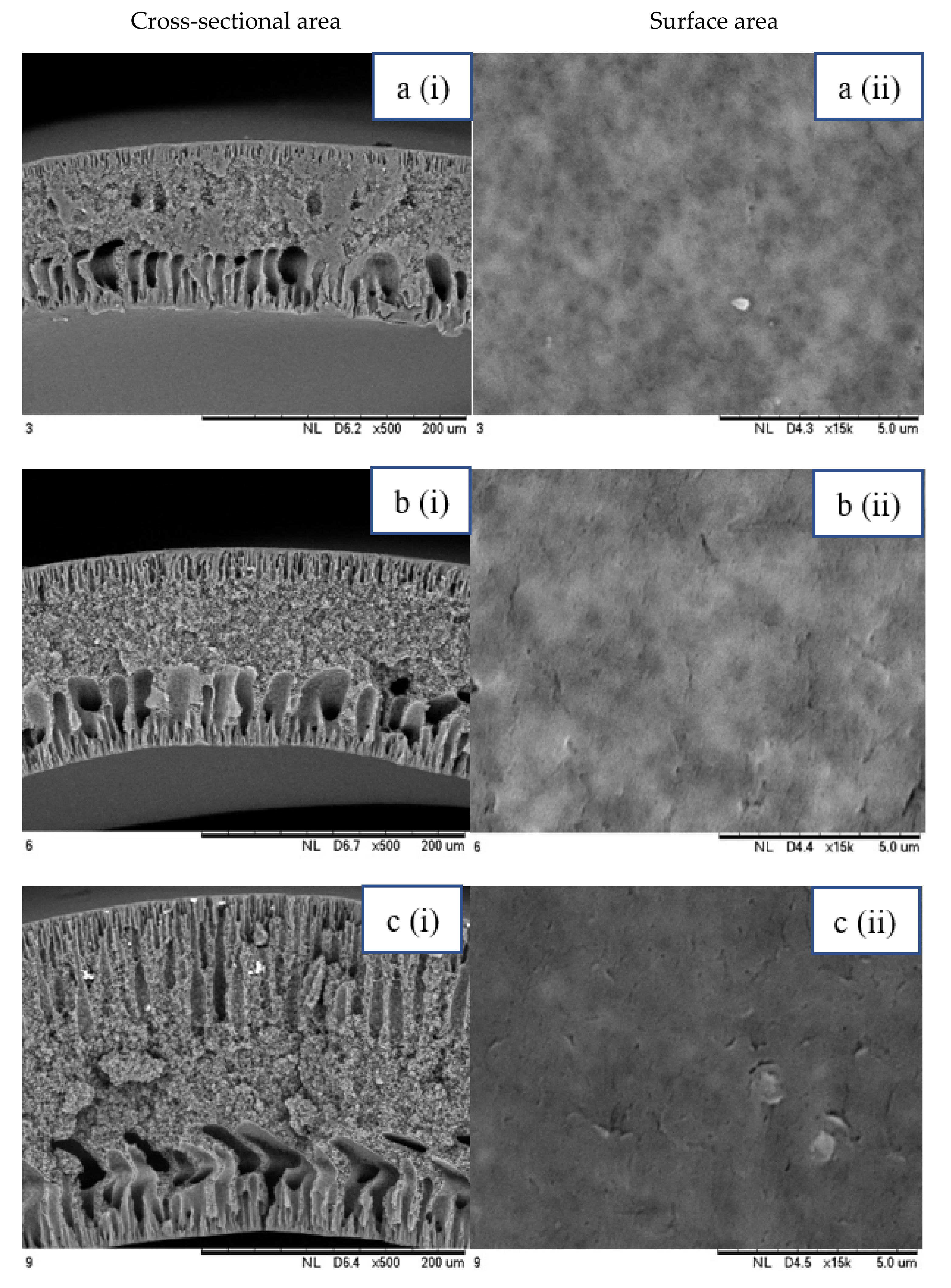 Membranes 12 00208 g002