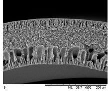 Membranes 12 00208 i003